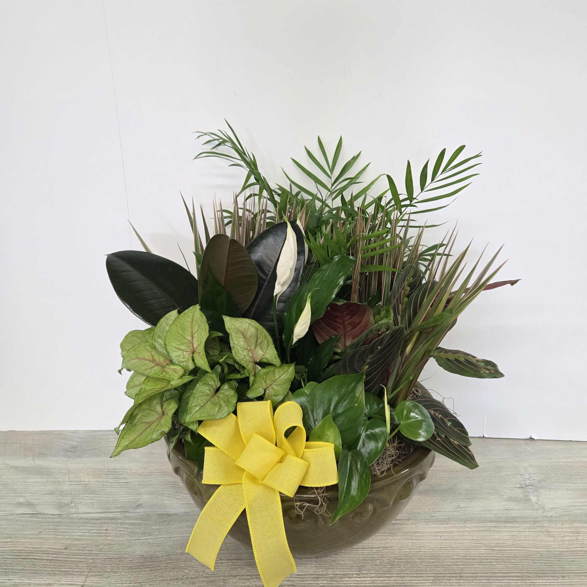 A lush combination of green plants makes an excellent gift. It&#039;s a