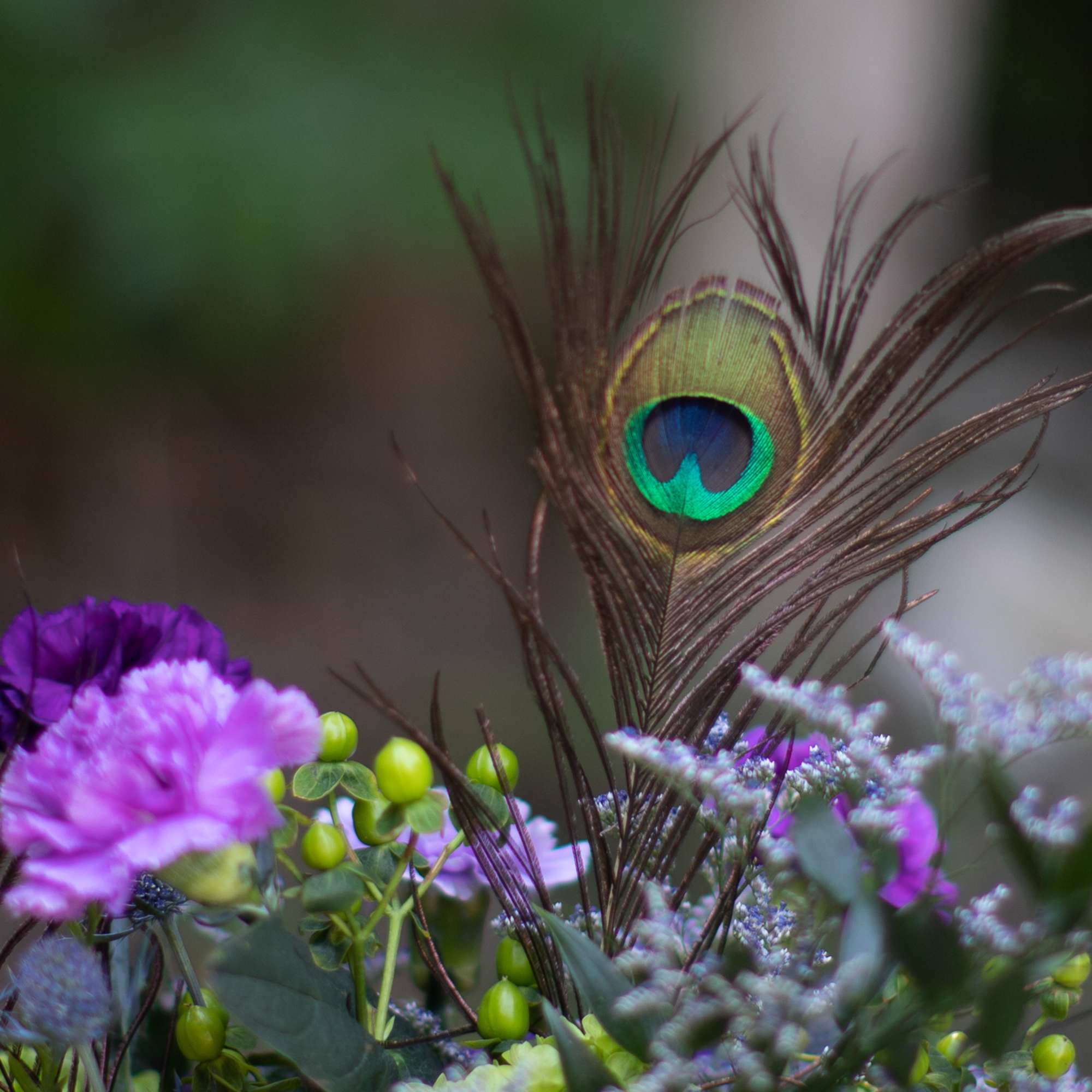 Purple is the color of royalty.  Captivate the eye with specialty