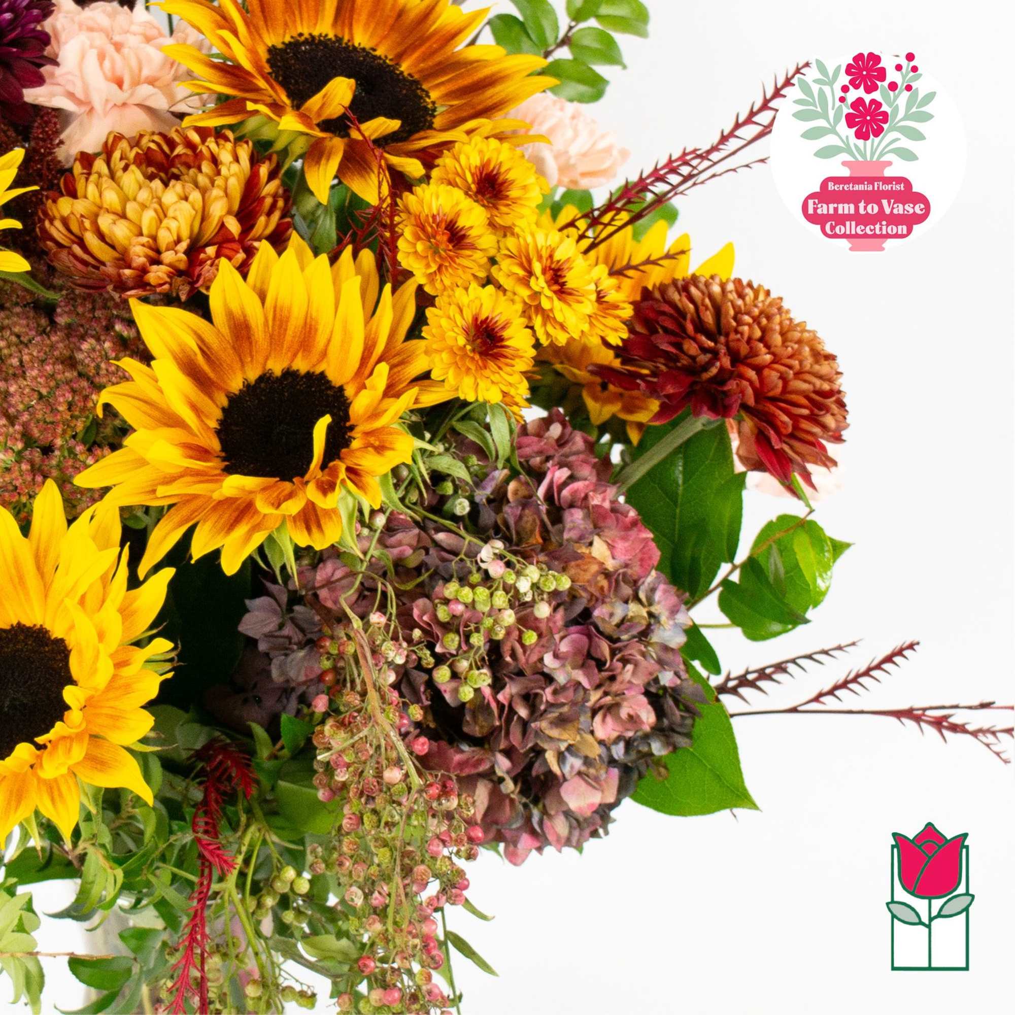 Feeling adventurous? Indulge in our Farm To Vase bouquet, a fresh floral