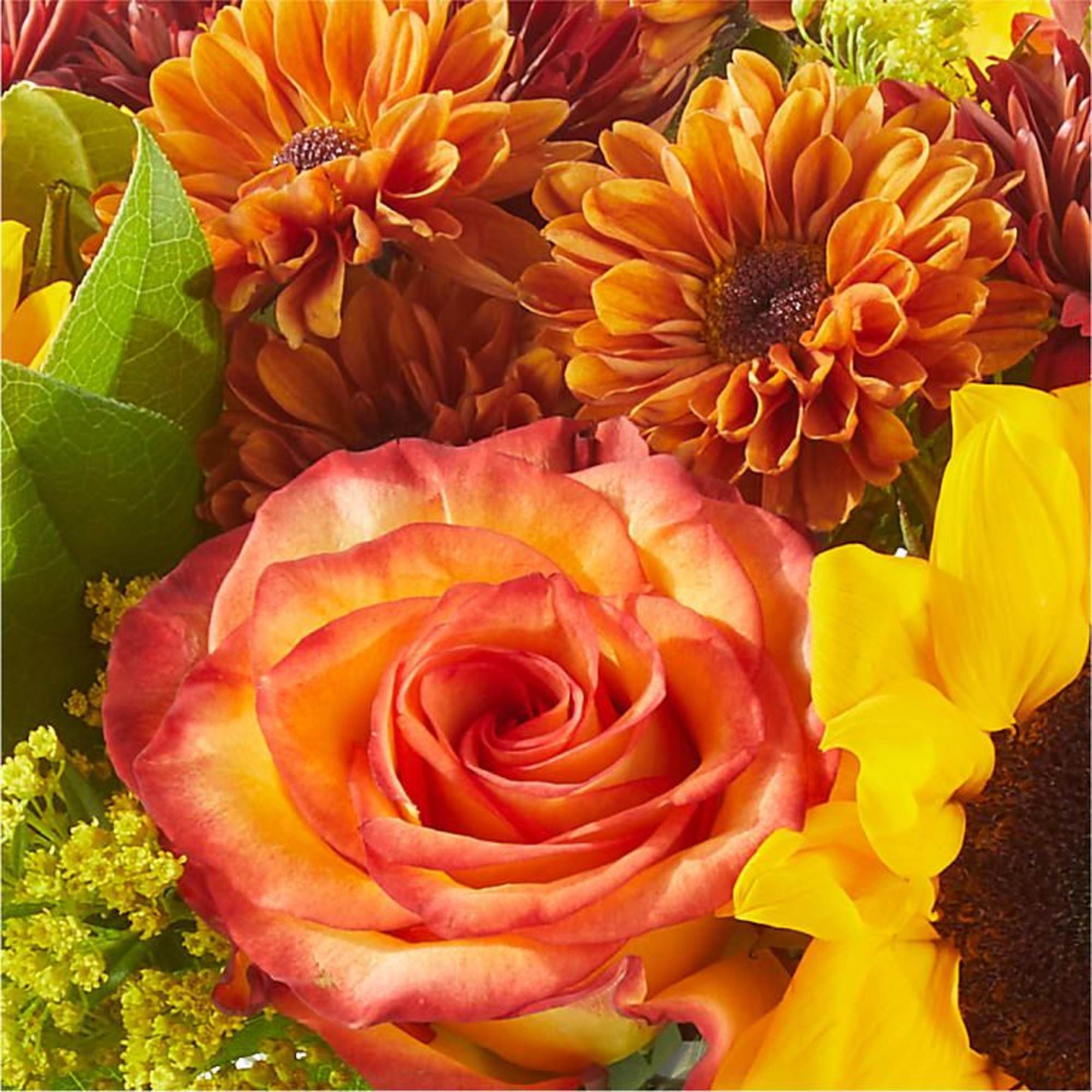 A vivid blend of sunflowers, sunset-orange roses, and berry accents rises like