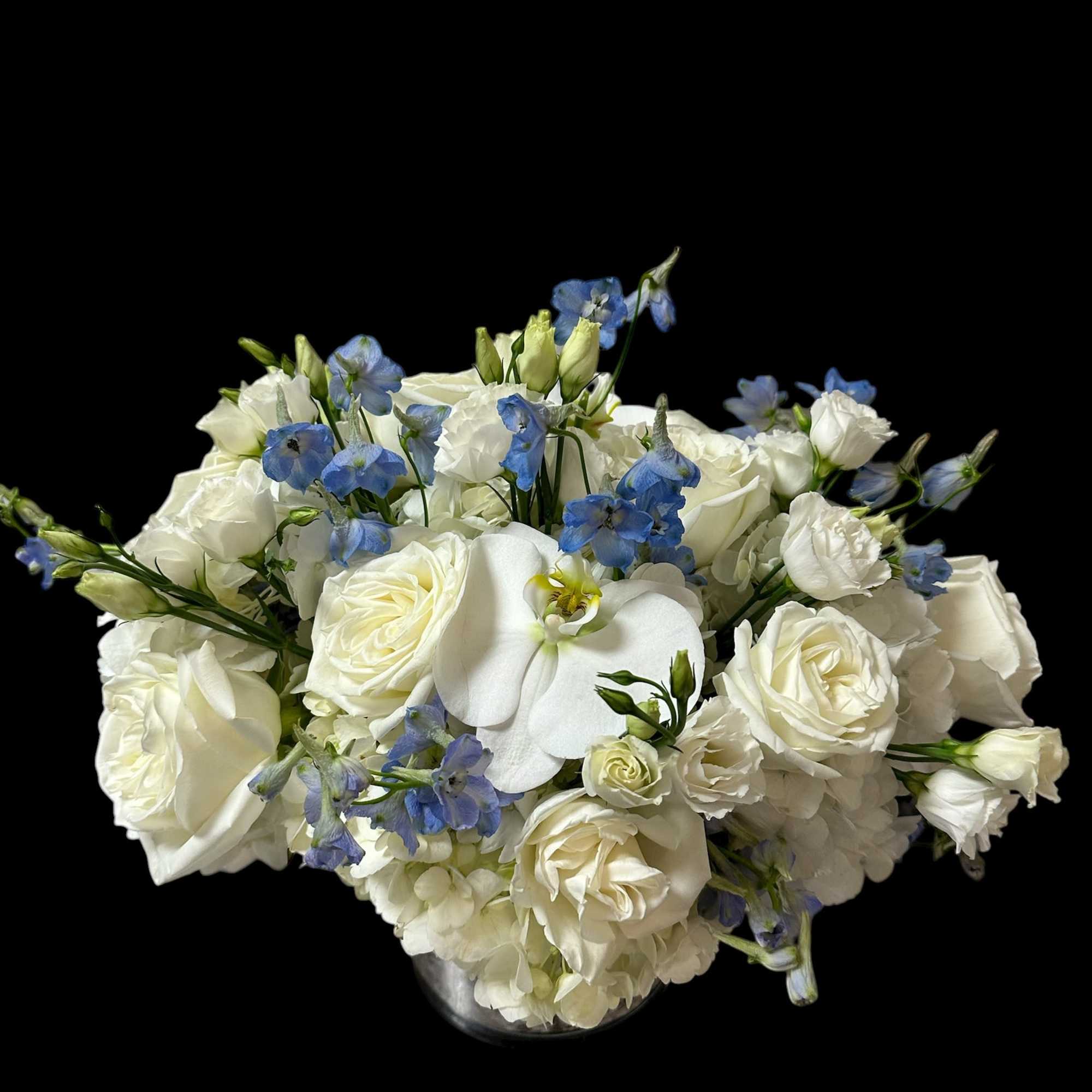 White hydrangea accompanied by a small touch of blue Delphinium along with