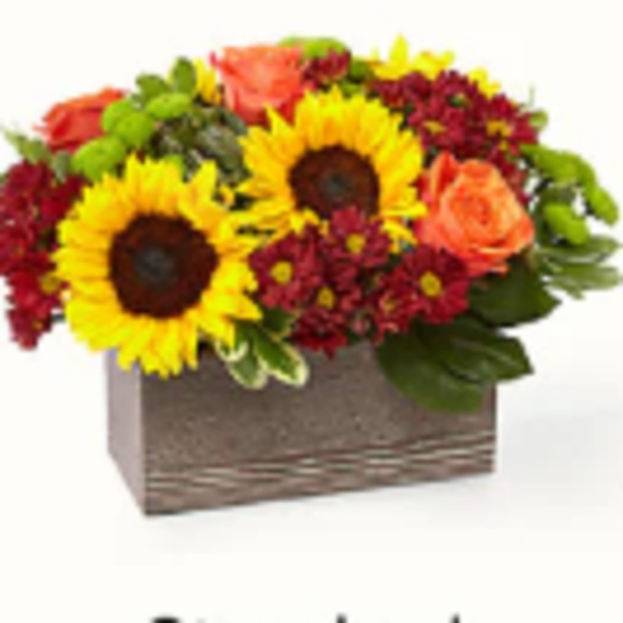 Delight your friends and family with an assortment of bright Autumn colors