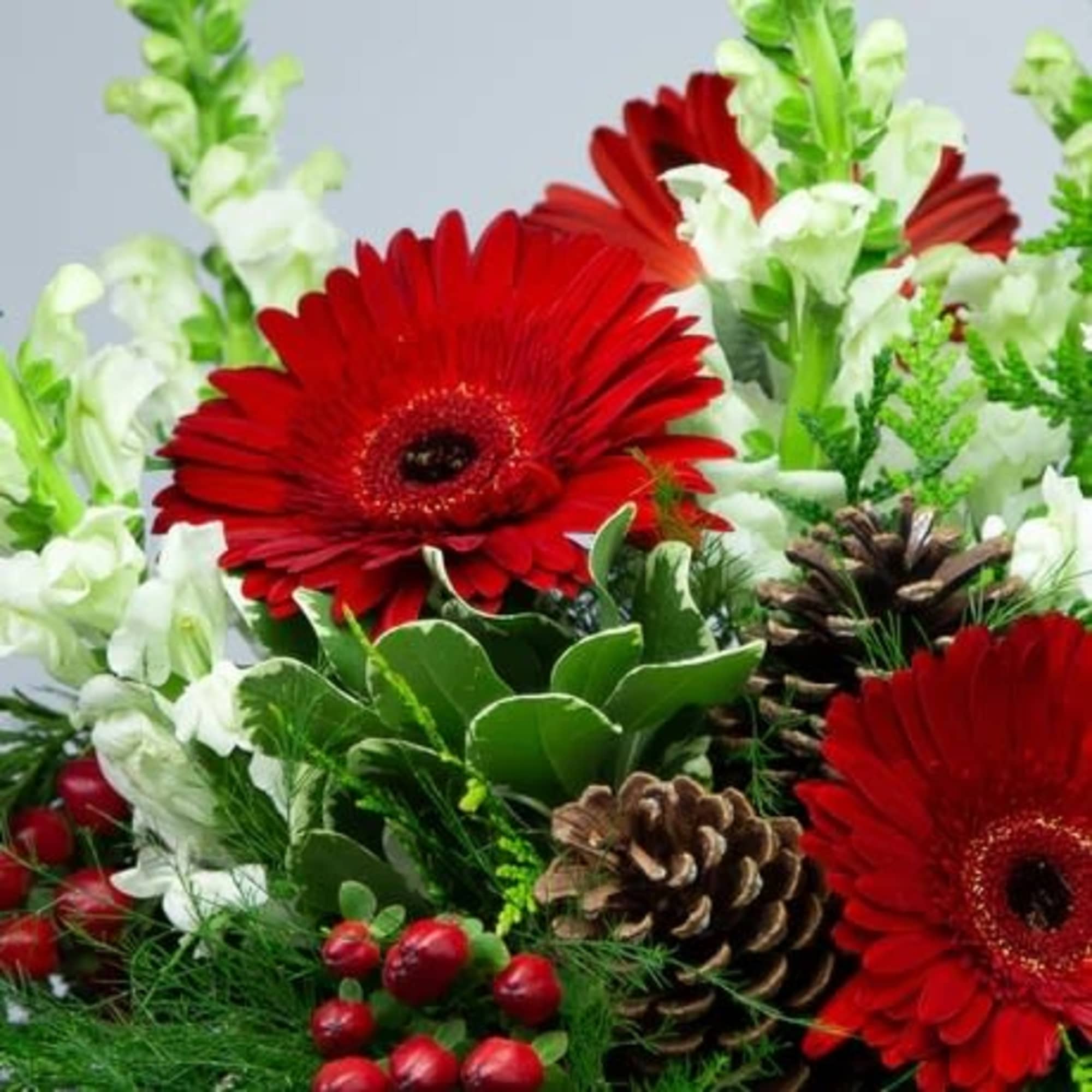 Radiate joy. Berry and Brightest will brighten your end table or coffee