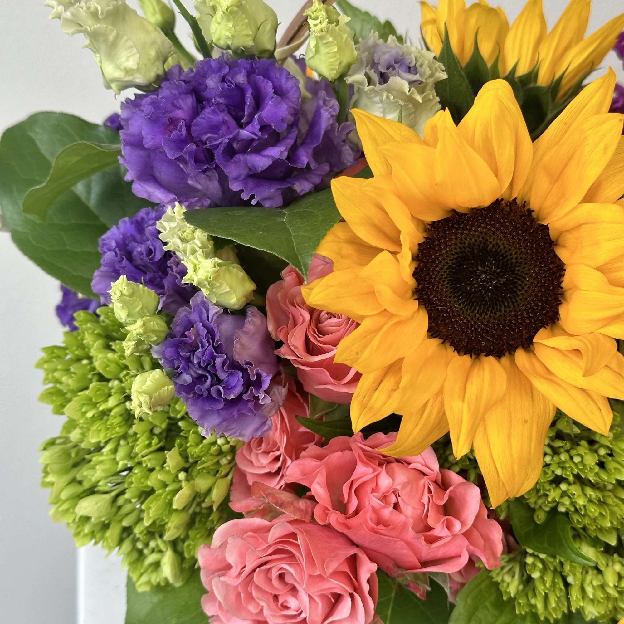 A blooming delight for the garden-hearted! Bursting with sunshine and charm, the