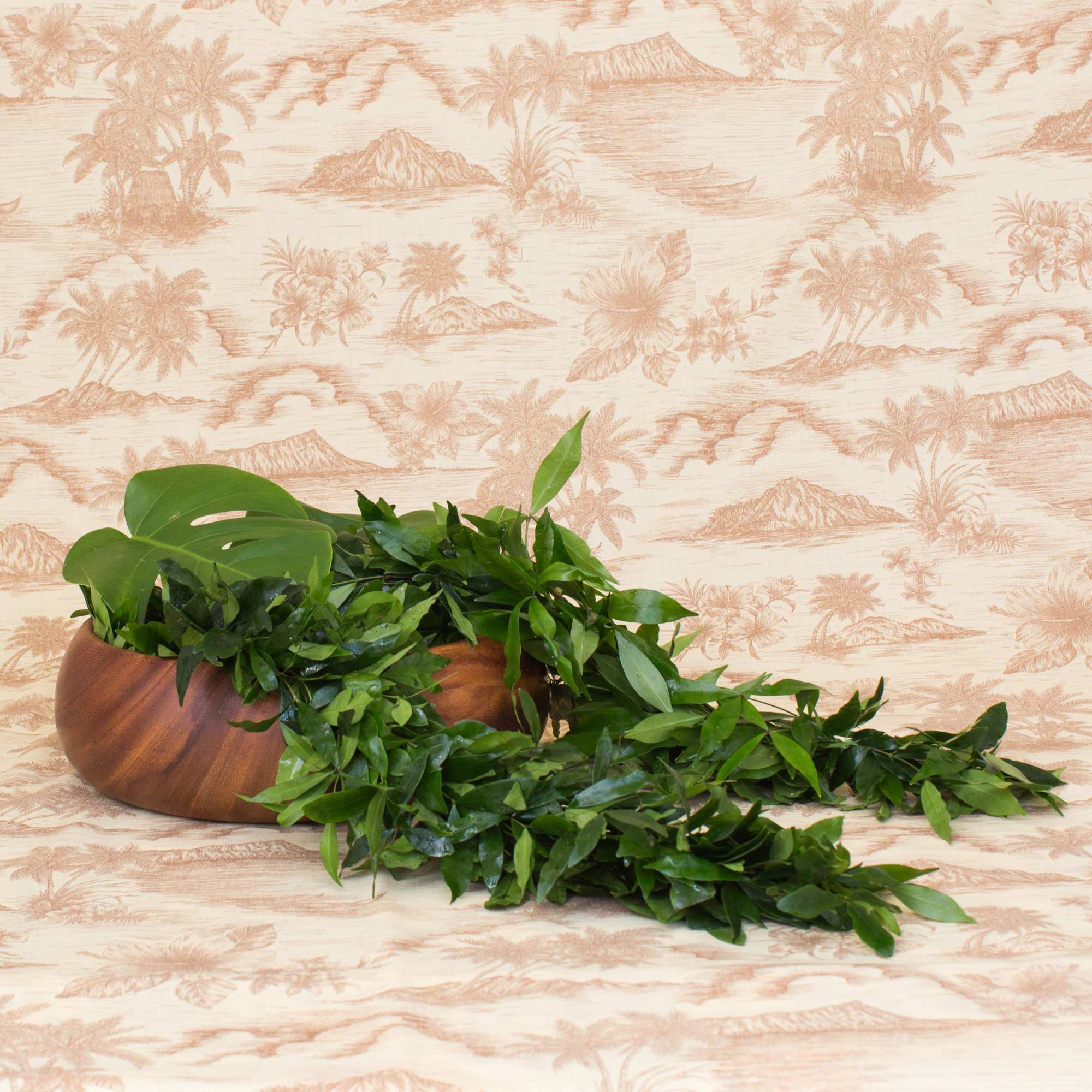 Our Single Strand Maile lei is locally grown and renowned for its