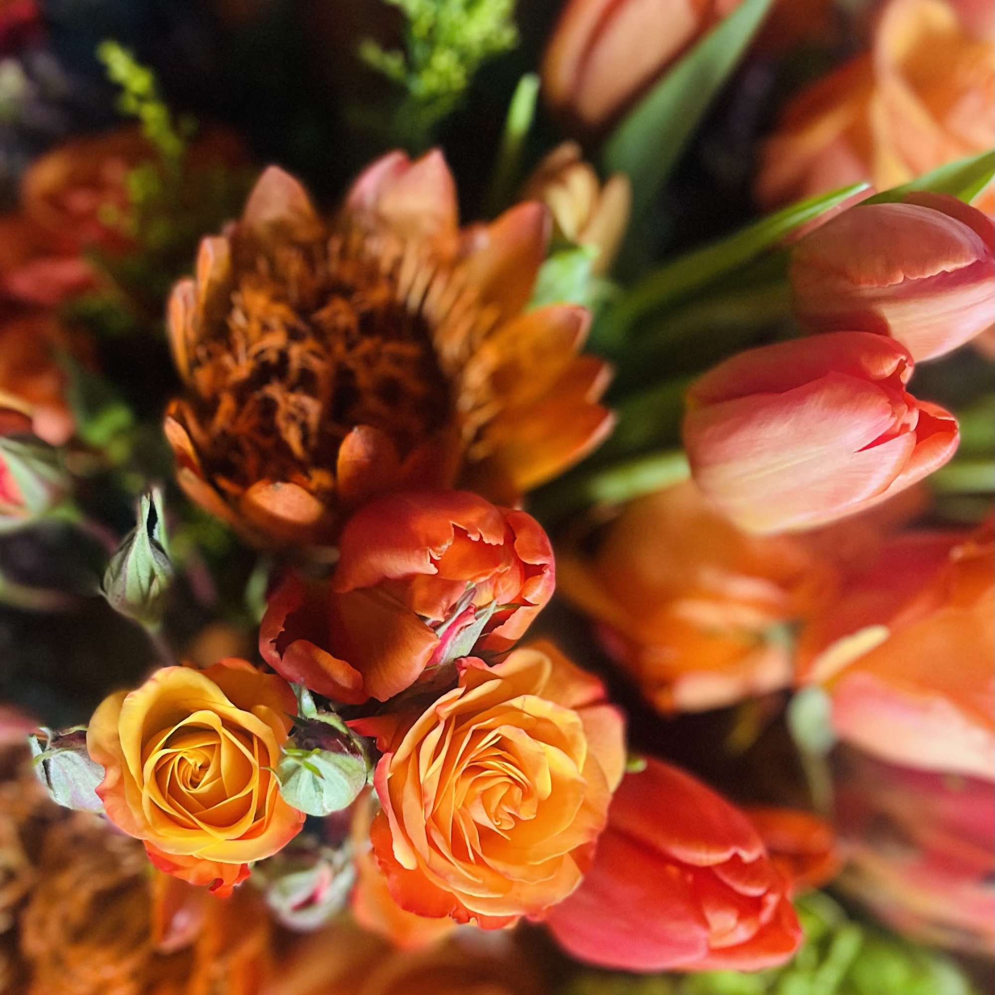 Celebrate the spirit of gratitude and togetherness with Autumn Sunrise, a radiant