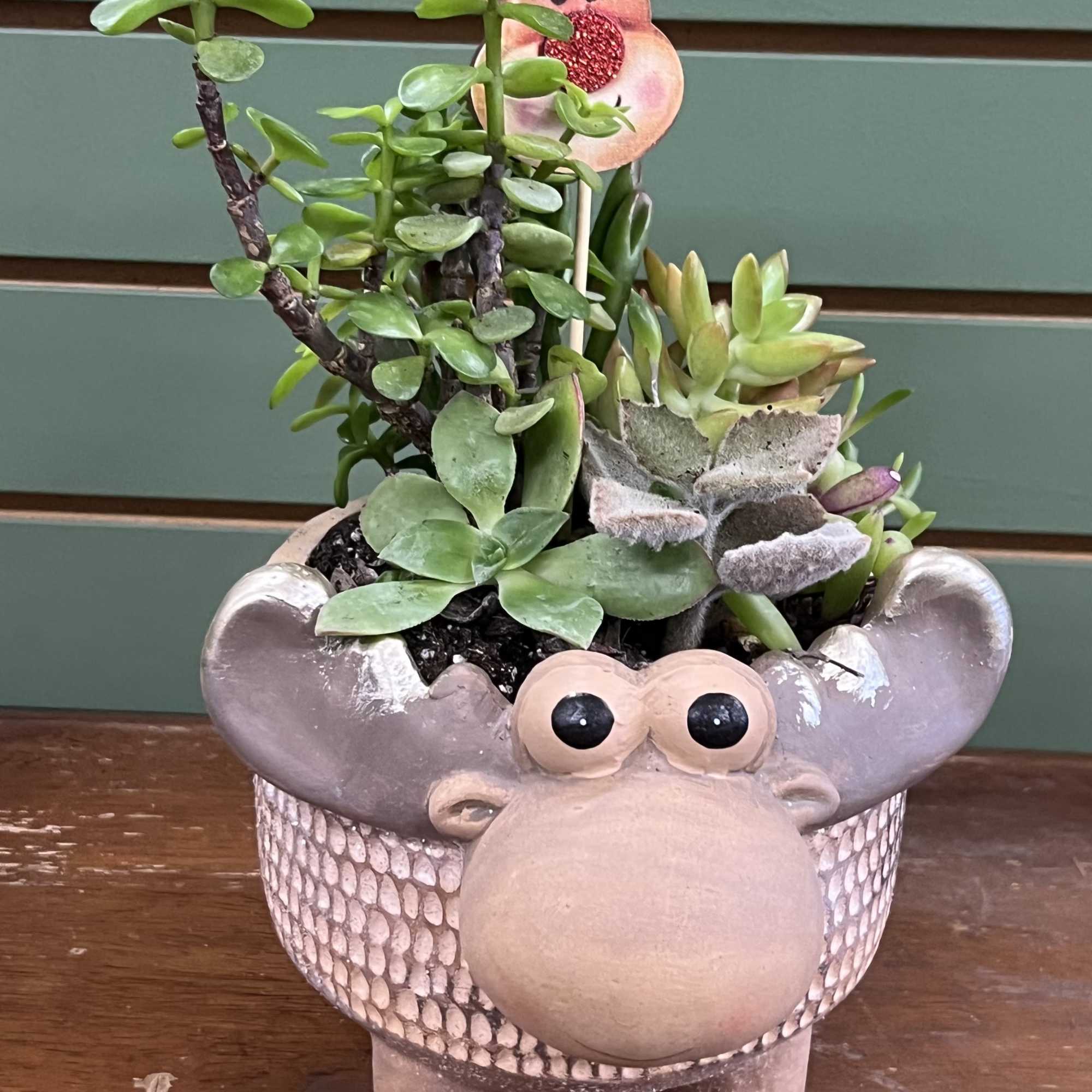 Whimsical moose planter with an assortment of succulents 