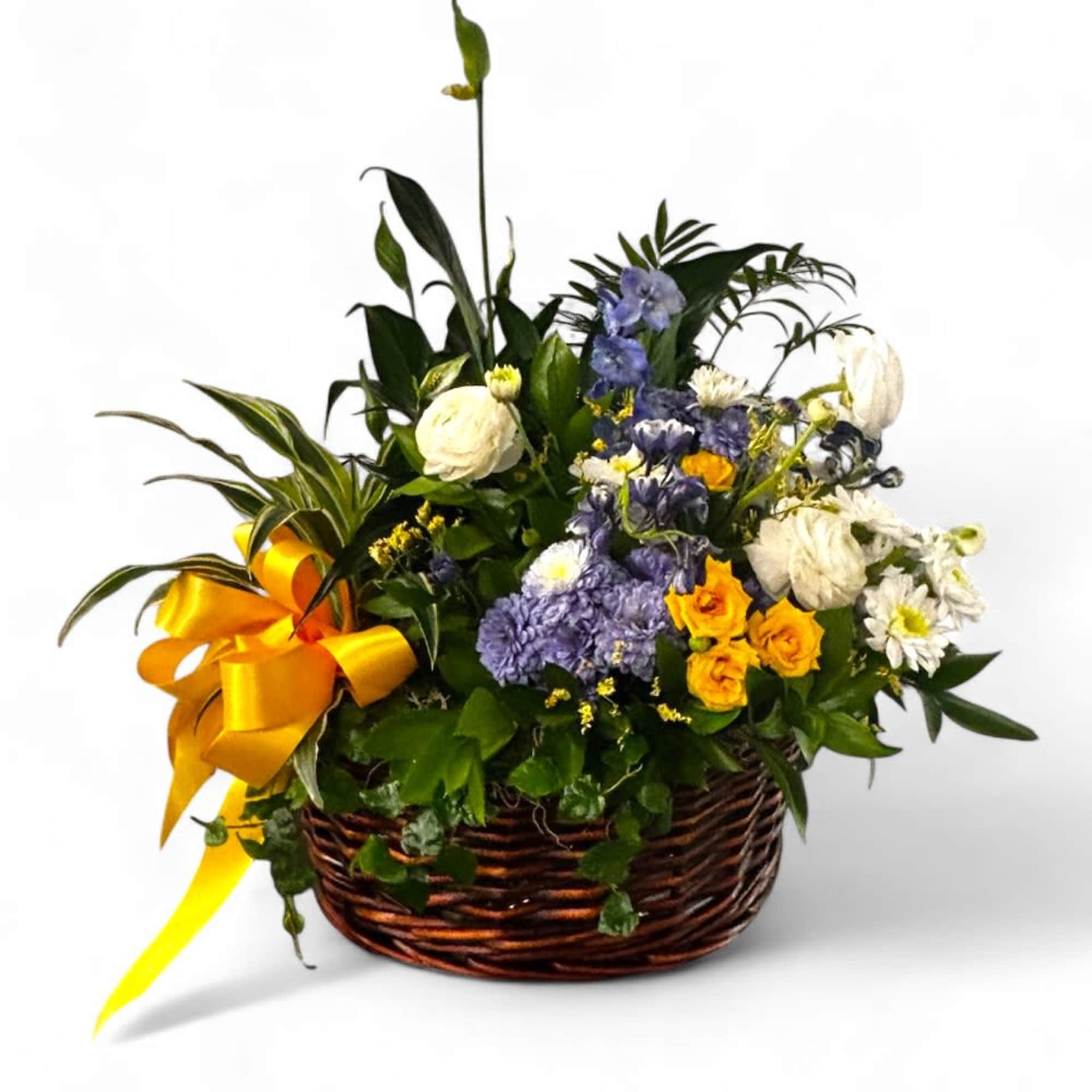 This charming plant basket features a serene Peace Lily, known for its