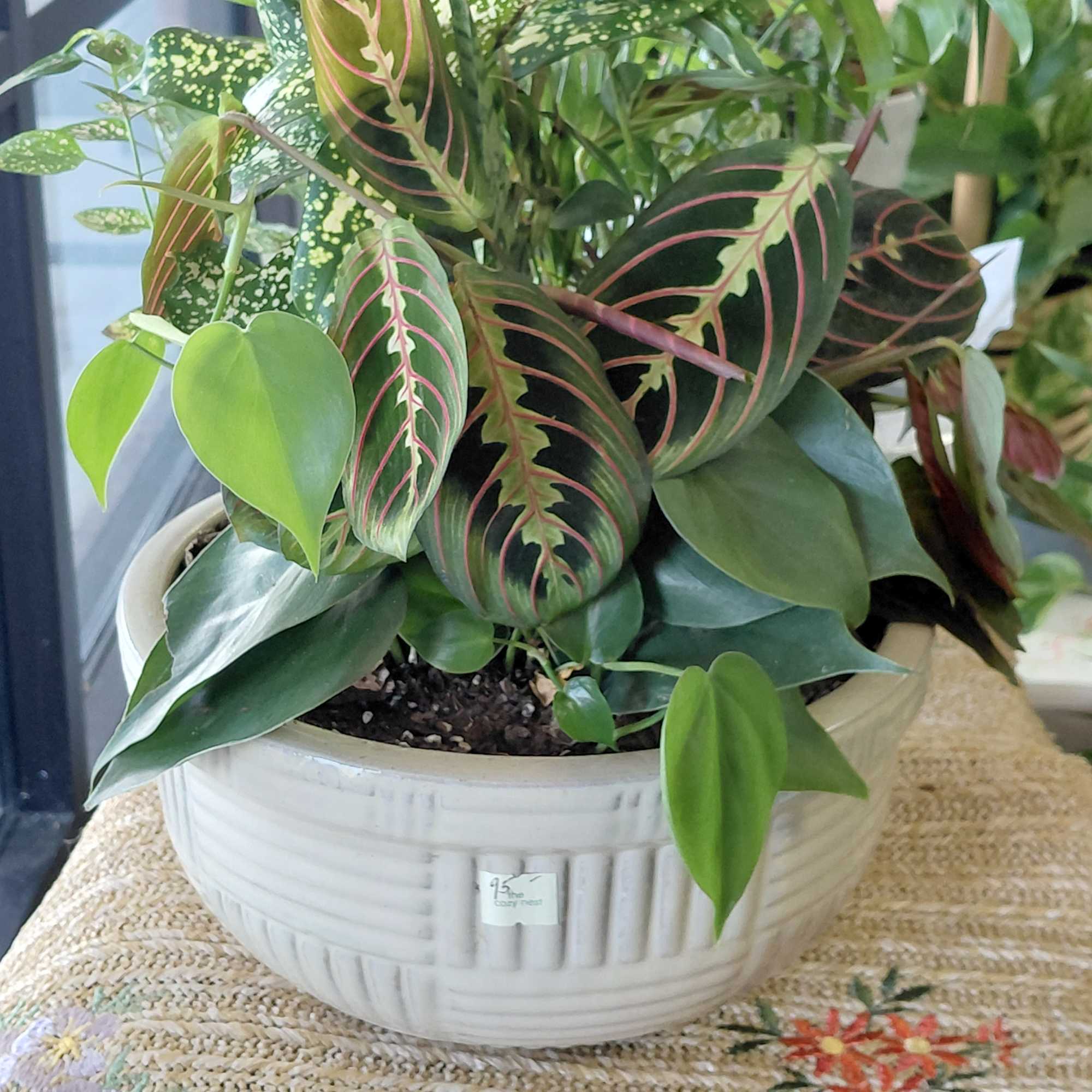 A dish garden is a miniature garden planted in a shallow container