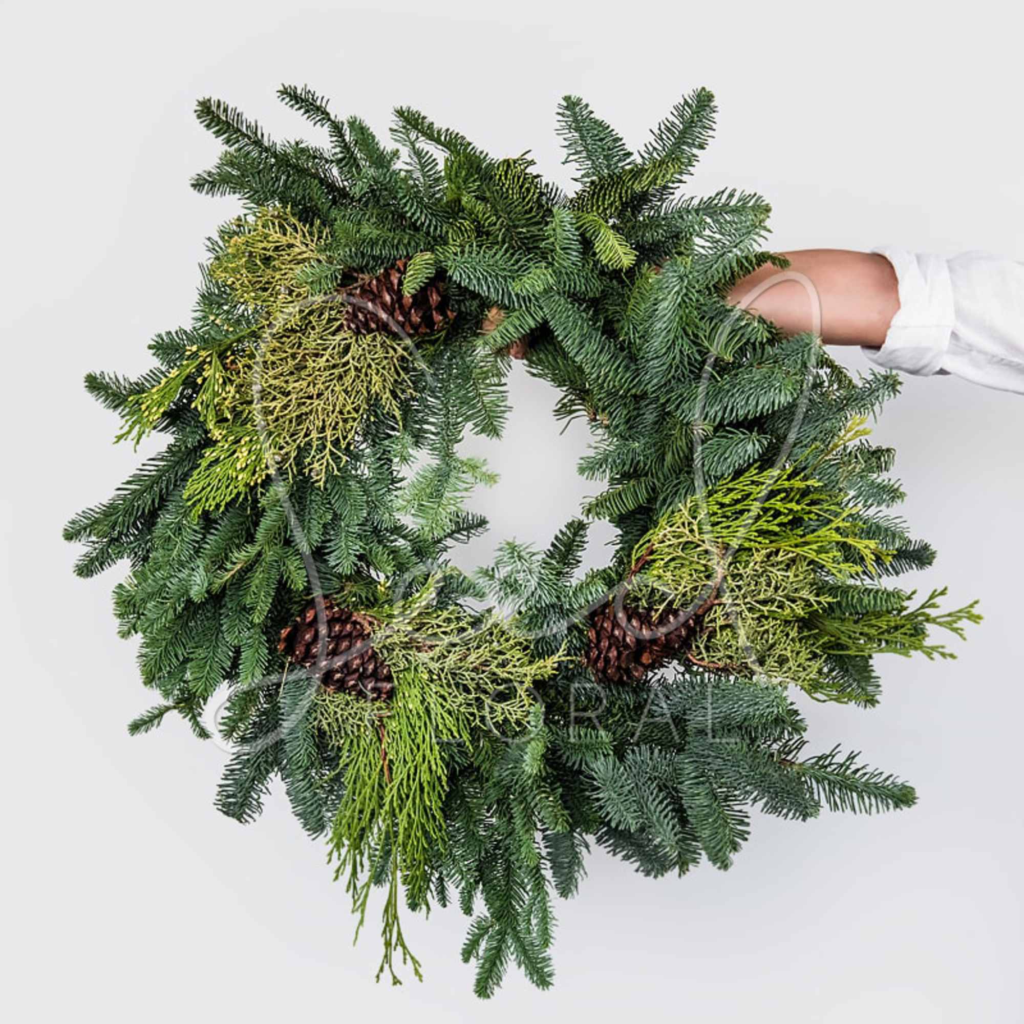 RSVP Received, won&rsquo;t you come in?
Featuring: Evergreen and Pine Cones 