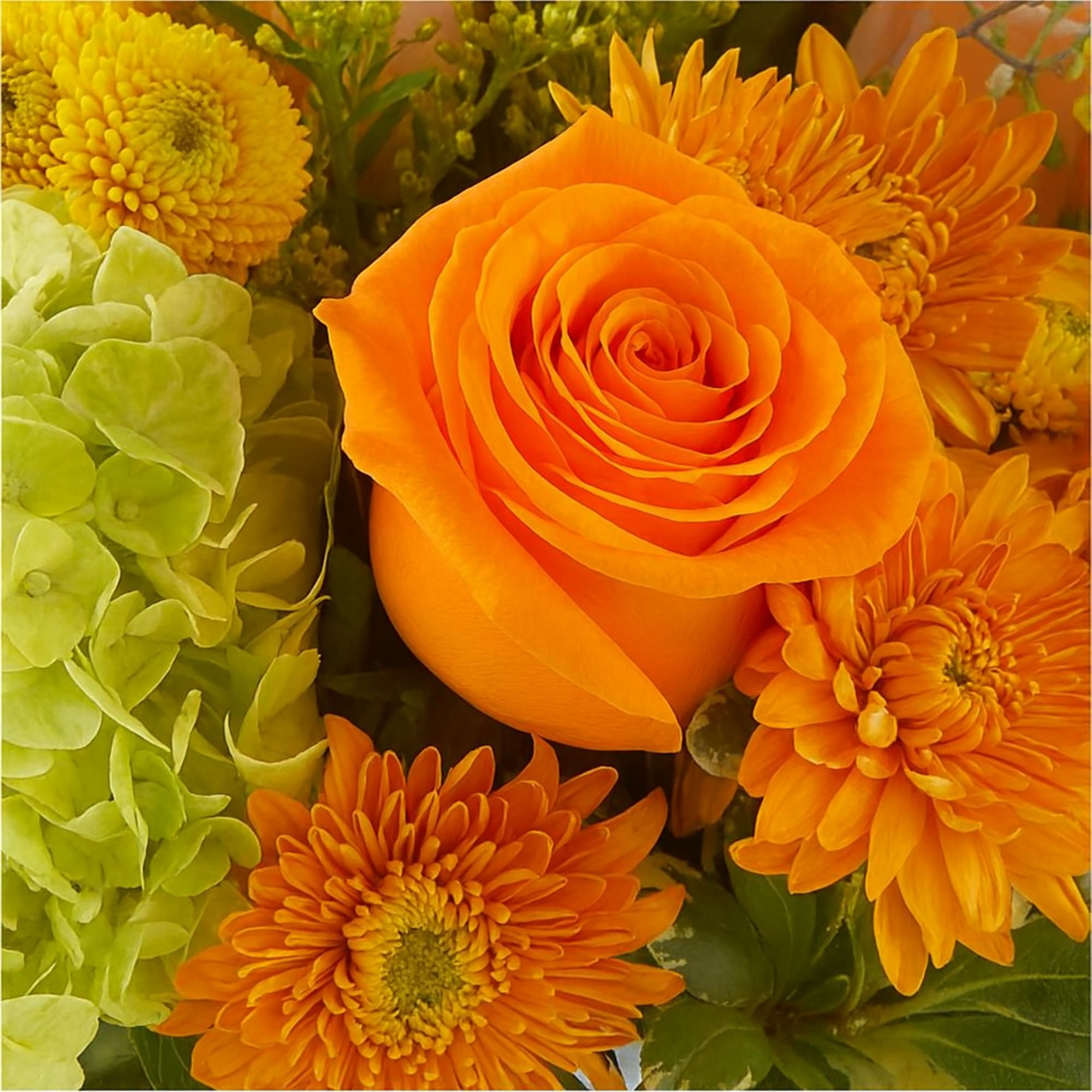 This design blends earthy warmth with refined softness&mdash;terracotta-inspired tones meeting delicate pastels.