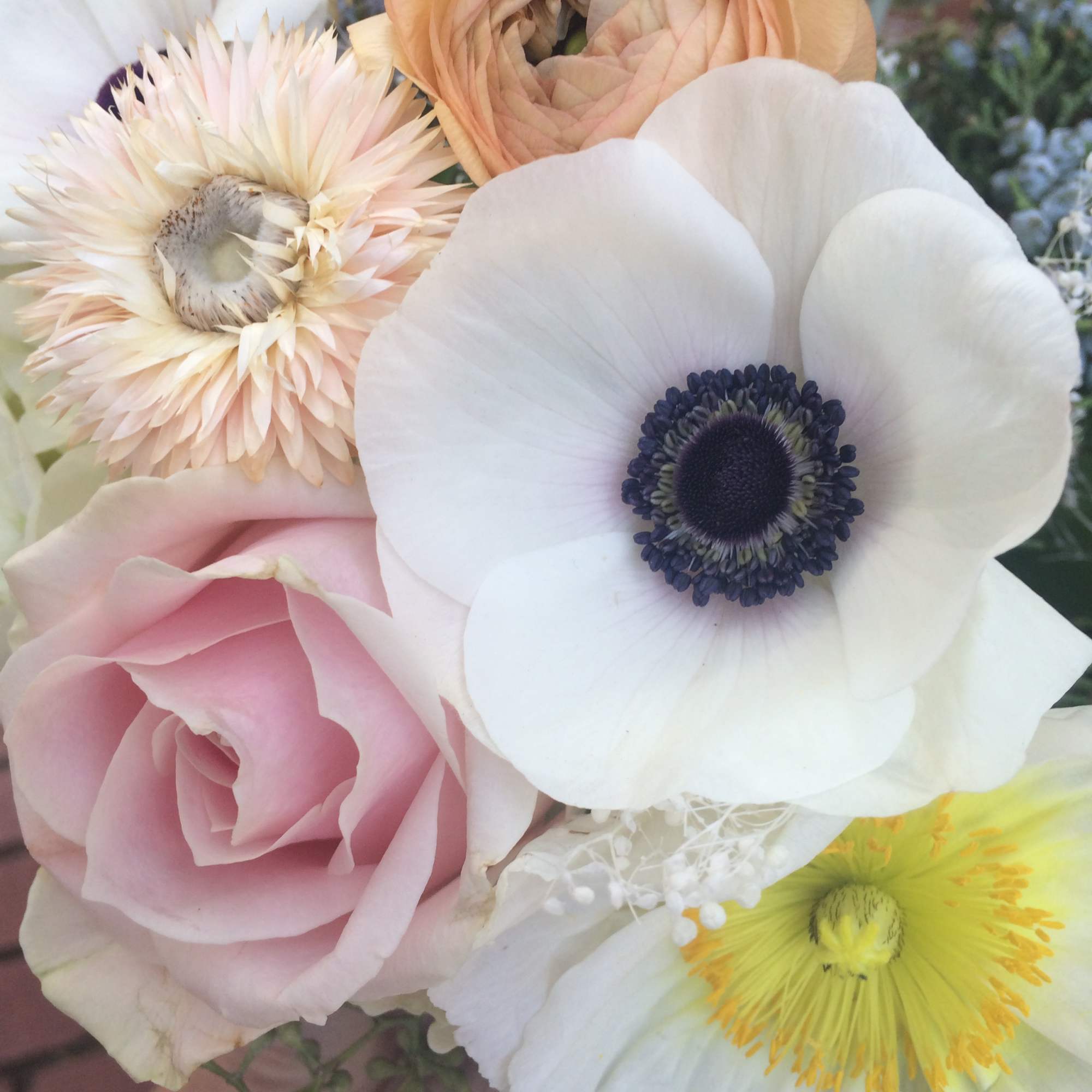 Milky white, ivory, light pink, powder, cream and dusty greens with the