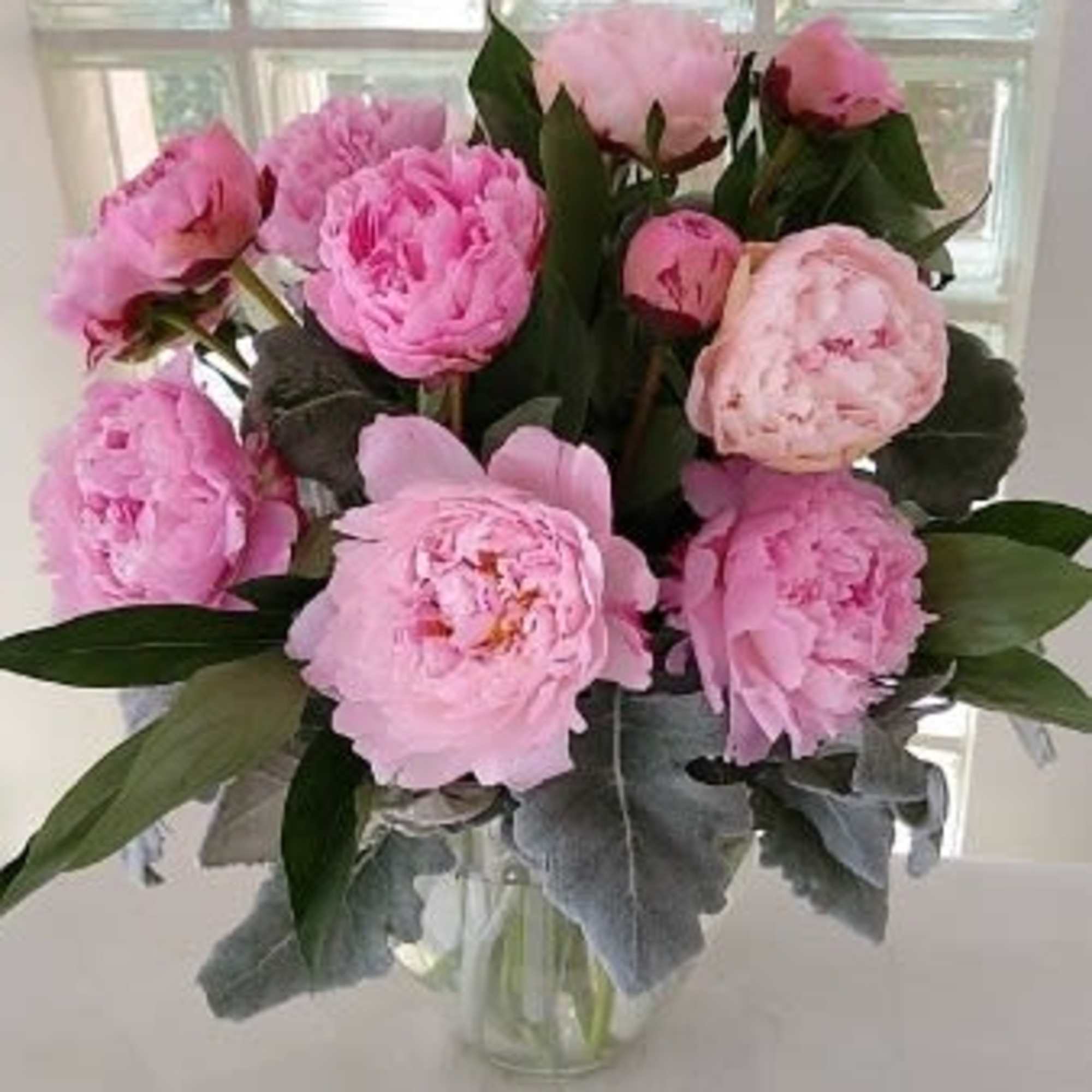 When you want glamour, you want peonies.   And for a