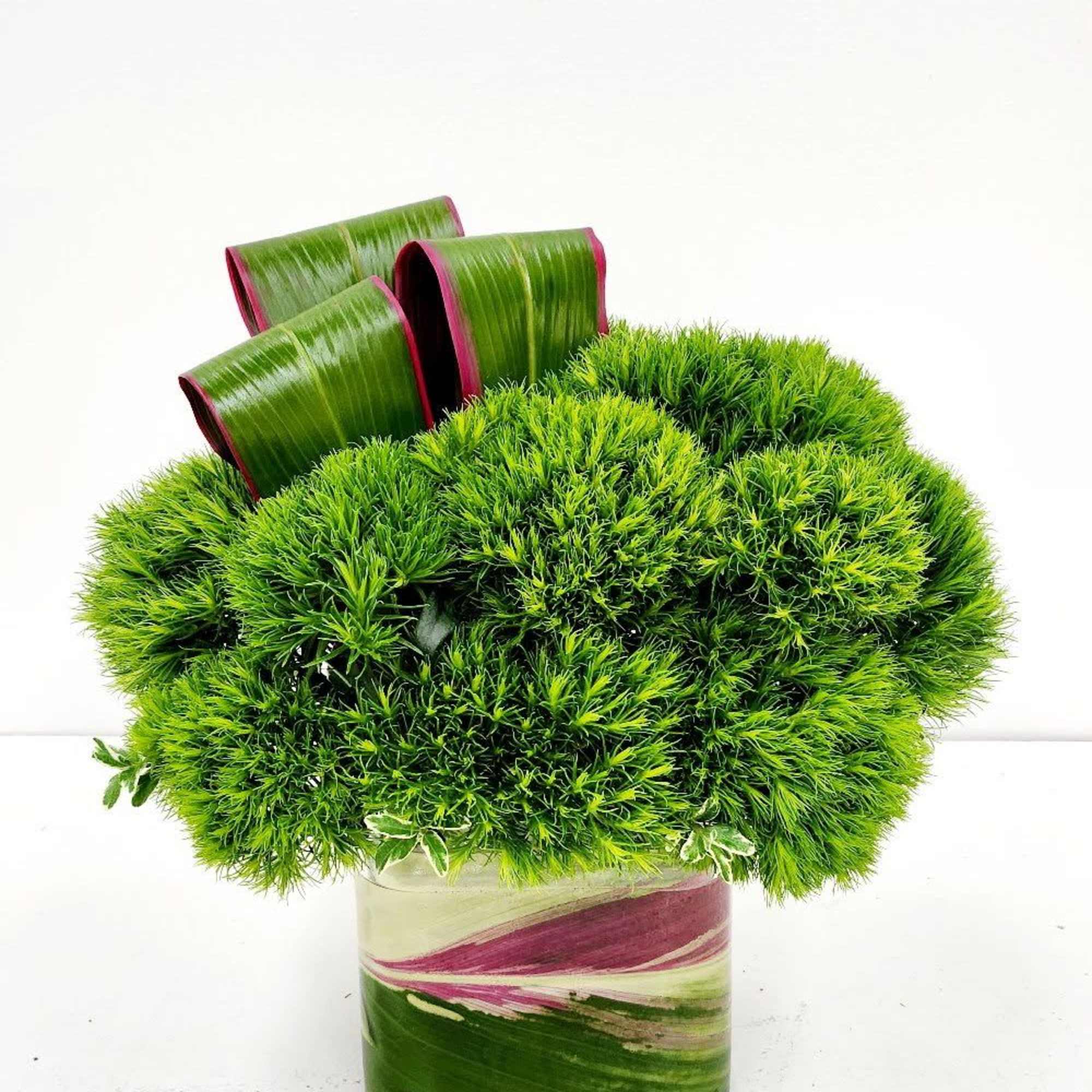 Discover the serene allure of Tropics, an extraordinary arrangement of lush green