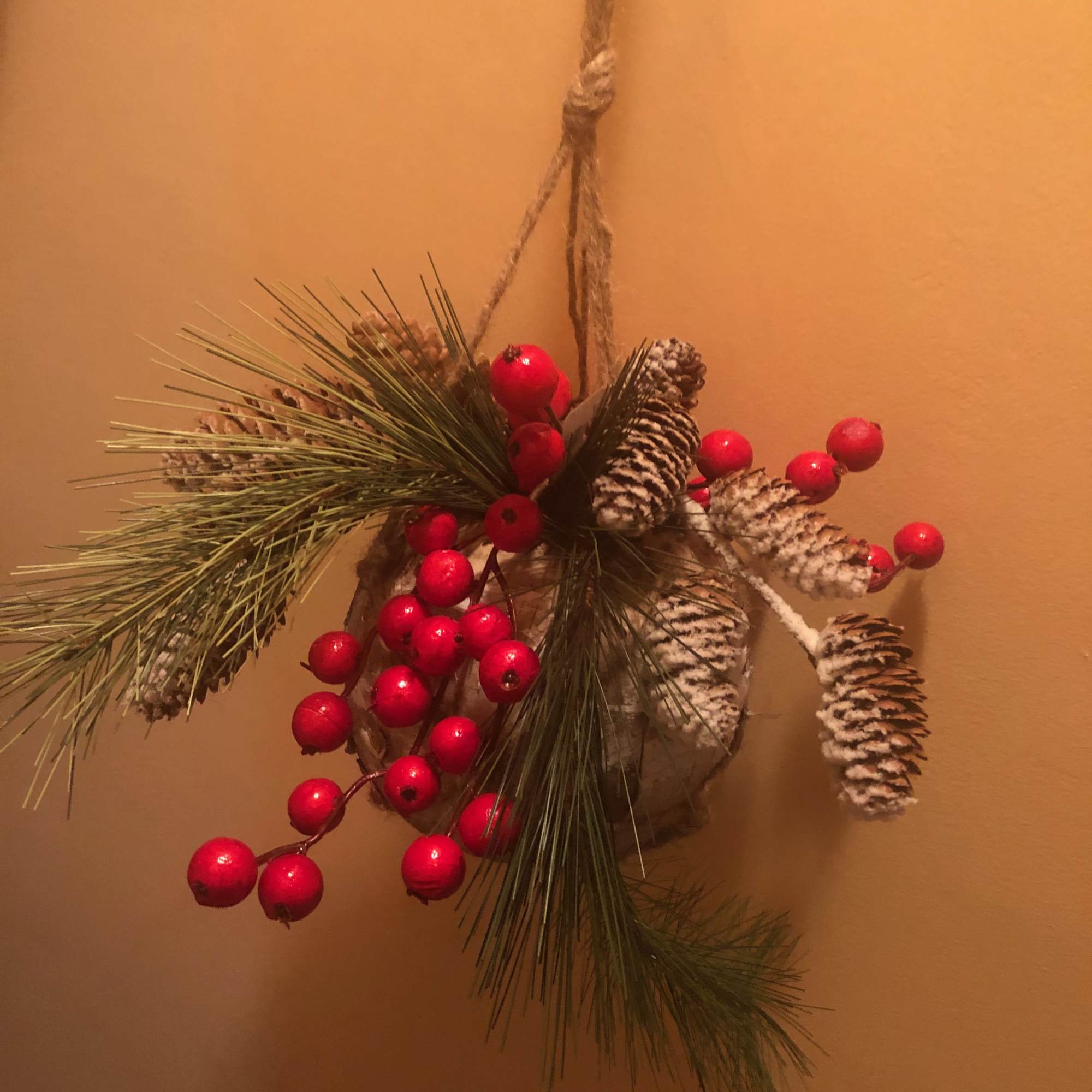 Our Birch &amp; Berries can be used indoors to decorate your Holiday