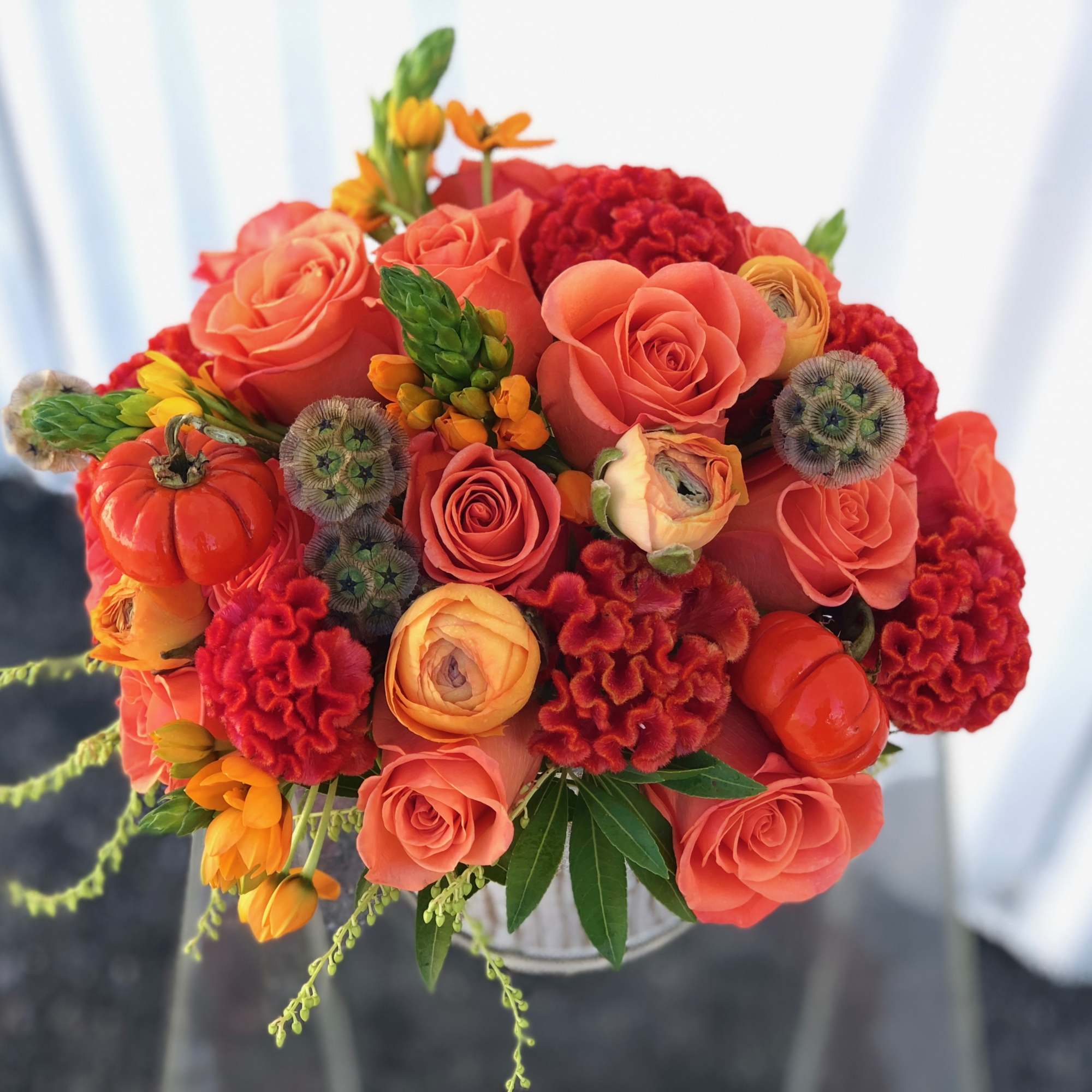 These fall flowers bring a textural and bright addition to any space.