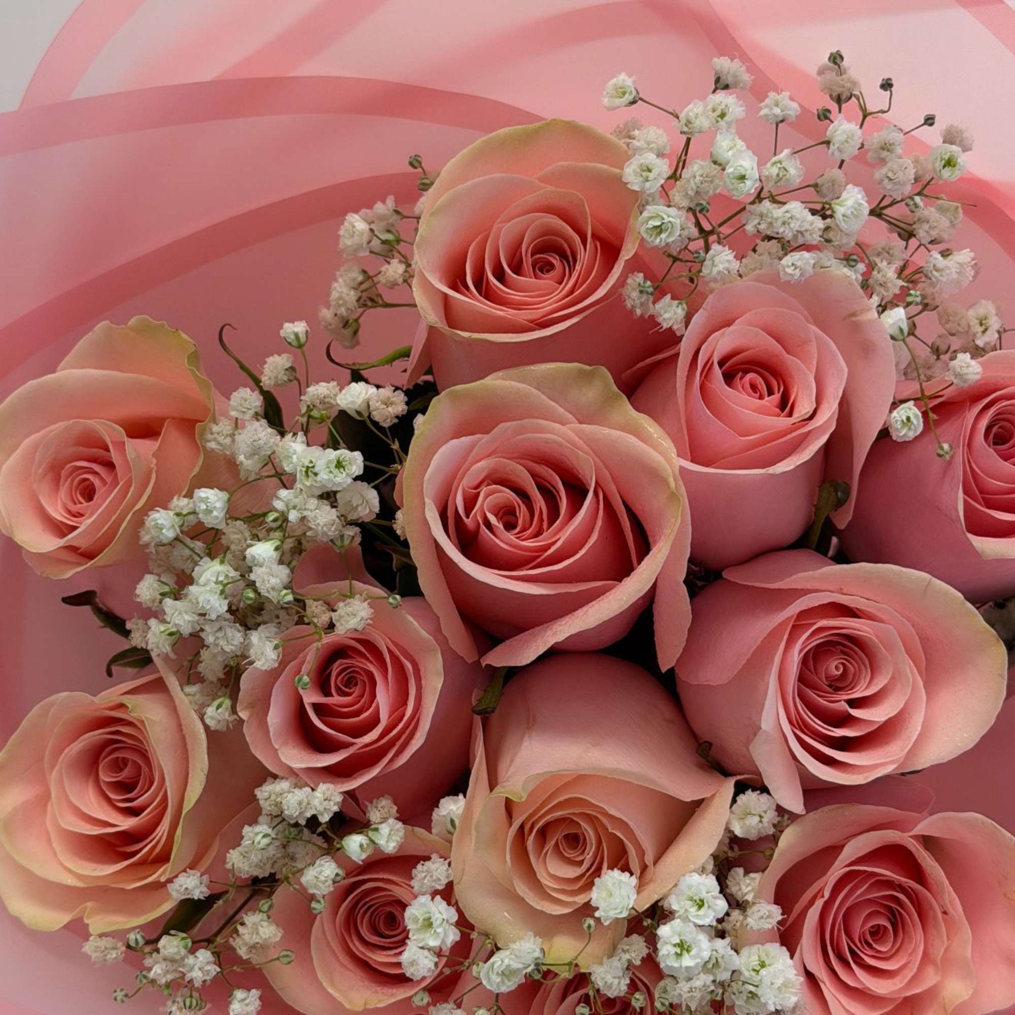 A sweet and stylish bouquet featuring twelve Pink Mondial roses in soft