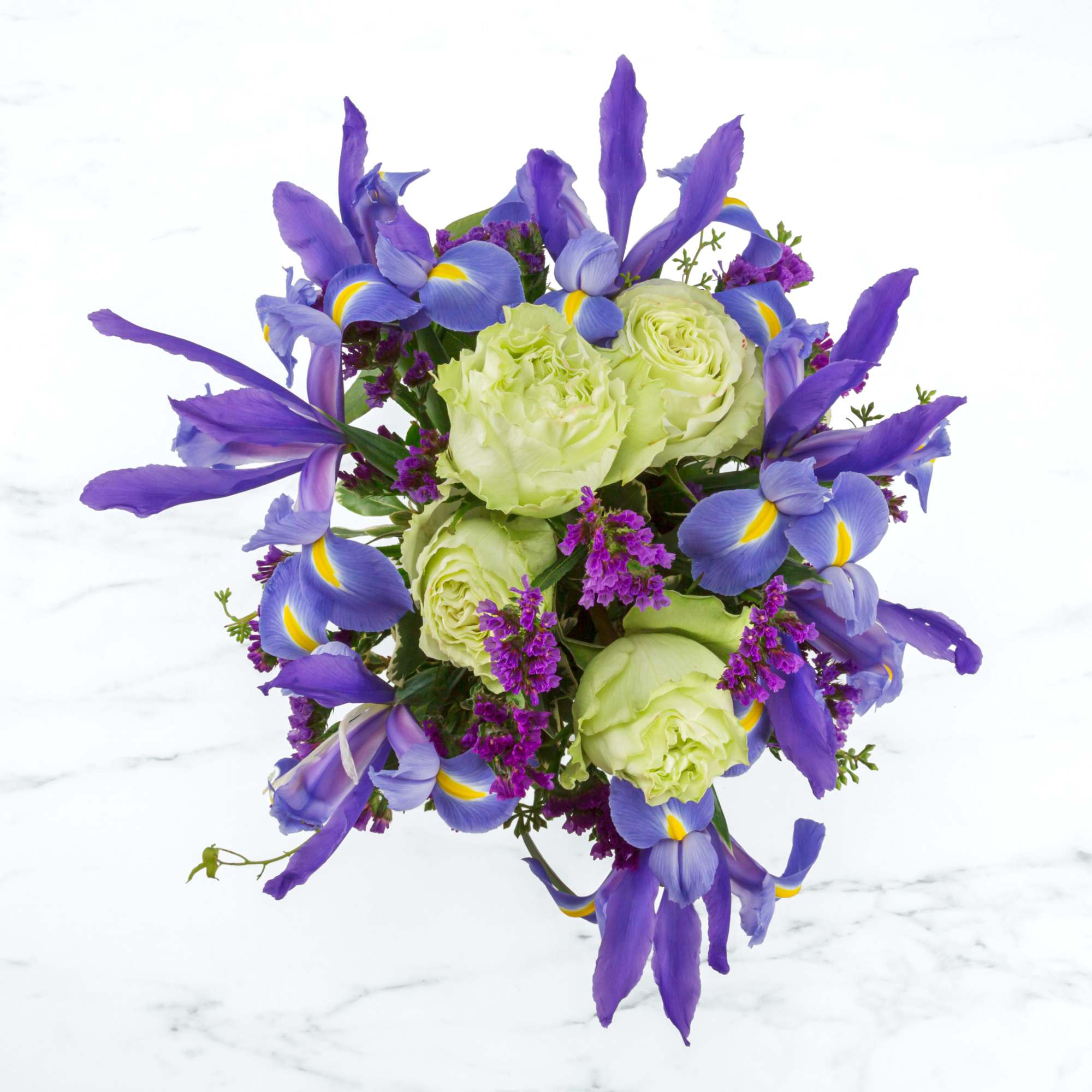 A white vase, green roses, and vivid blue iris make this arrangement