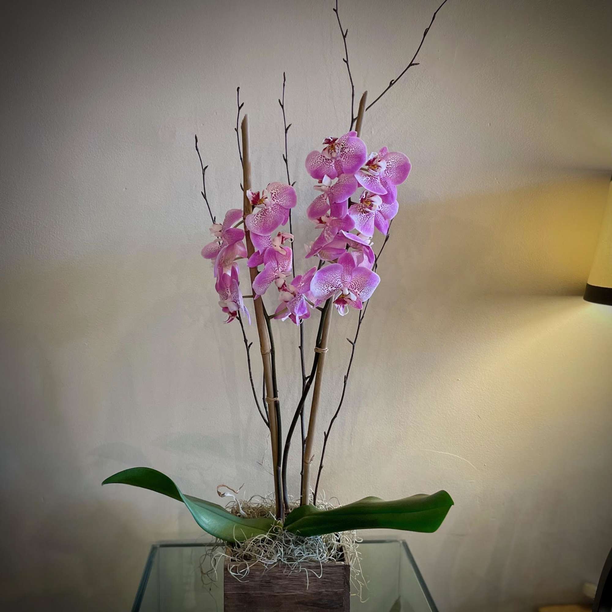 Beautifully presented with an armature of bamboo and birch, in a lovely