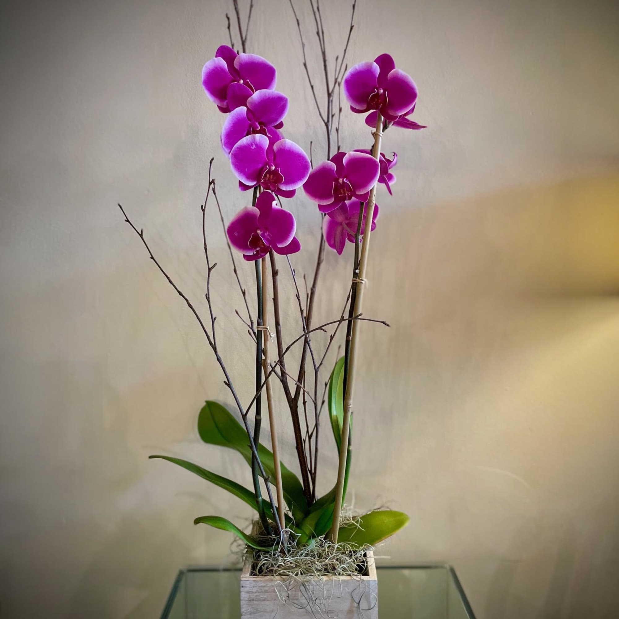 Beautifully presented with an armature of bamboo and birch, in a lovely