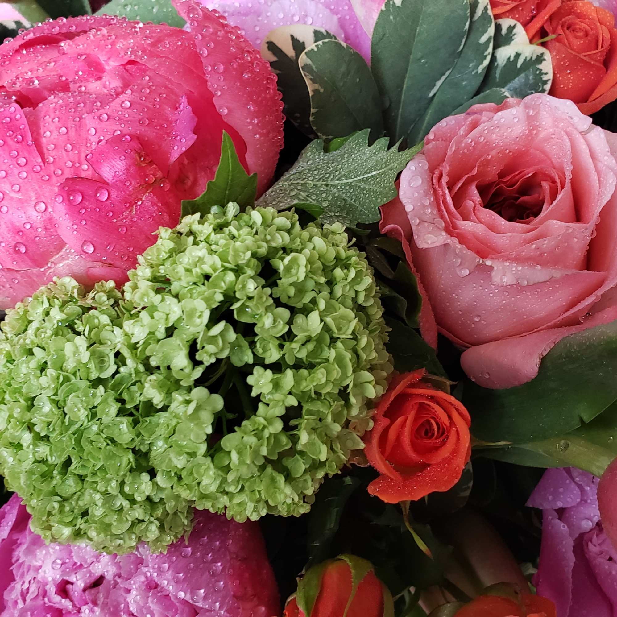 Vivid Euphoria is an elegant arrangement filled with the brightest summer blooms