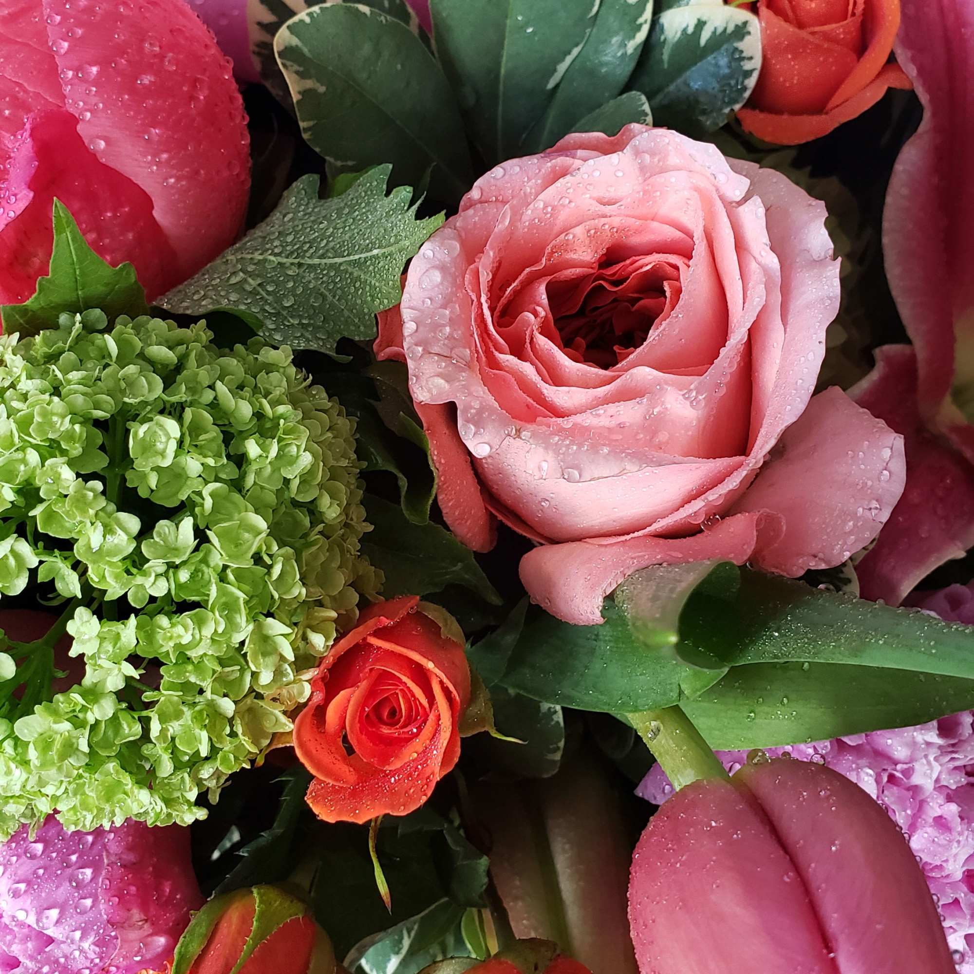 Vivid Euphoria is an elegant arrangement filled with the brightest summer blooms