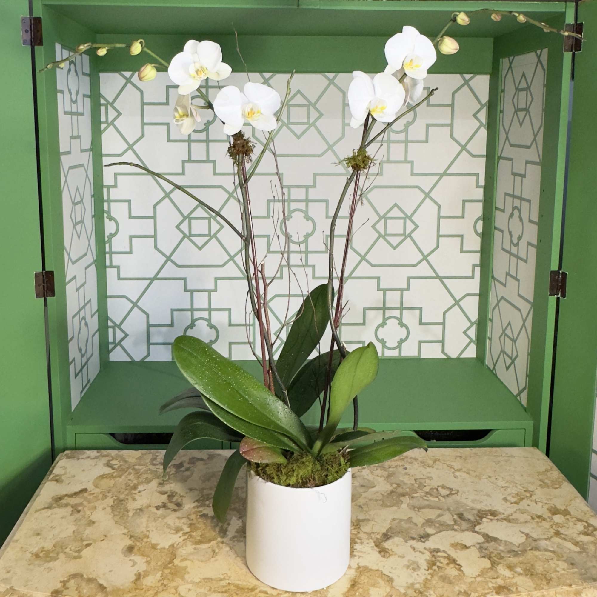 A timeless display of elegance, this white ceramic cylinder features two stunning