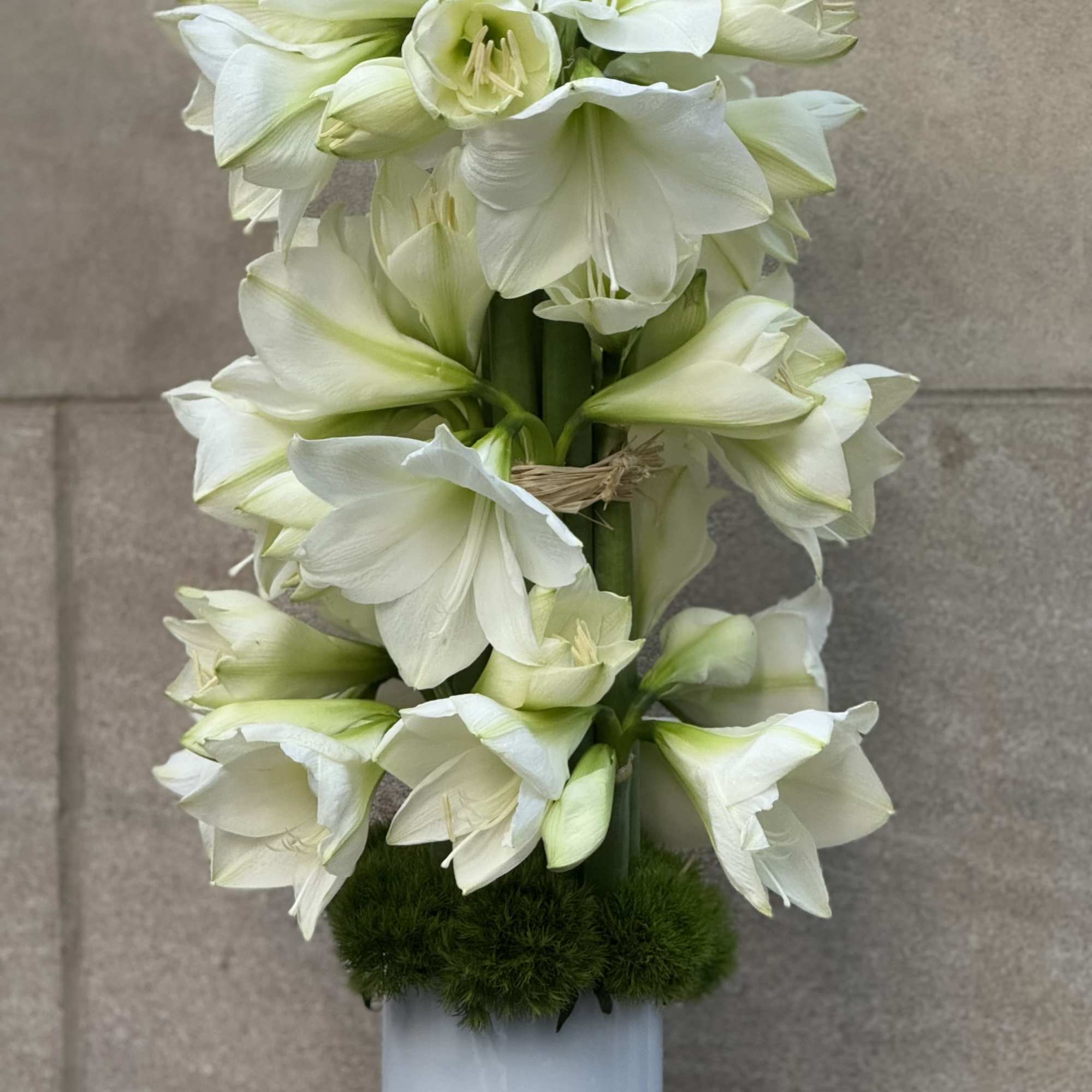 We are pleased to present a design concept for a tall and