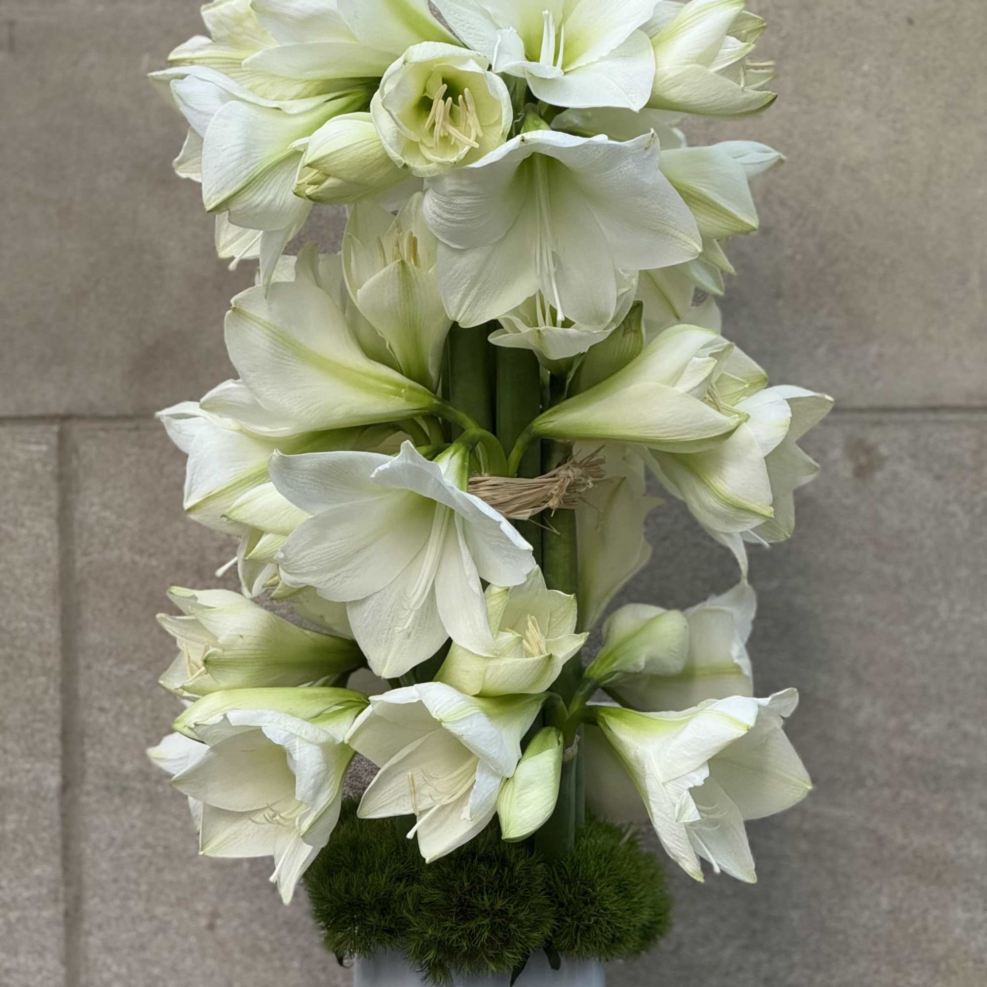 We are pleased to present a design concept for a tall and