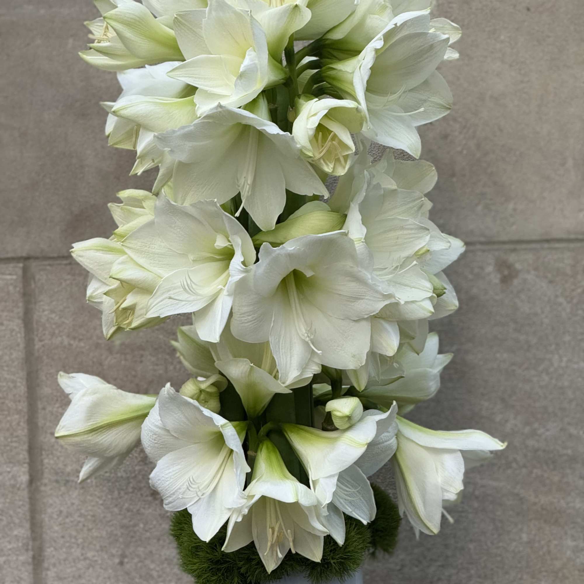 We are pleased to present a design concept for a tall and