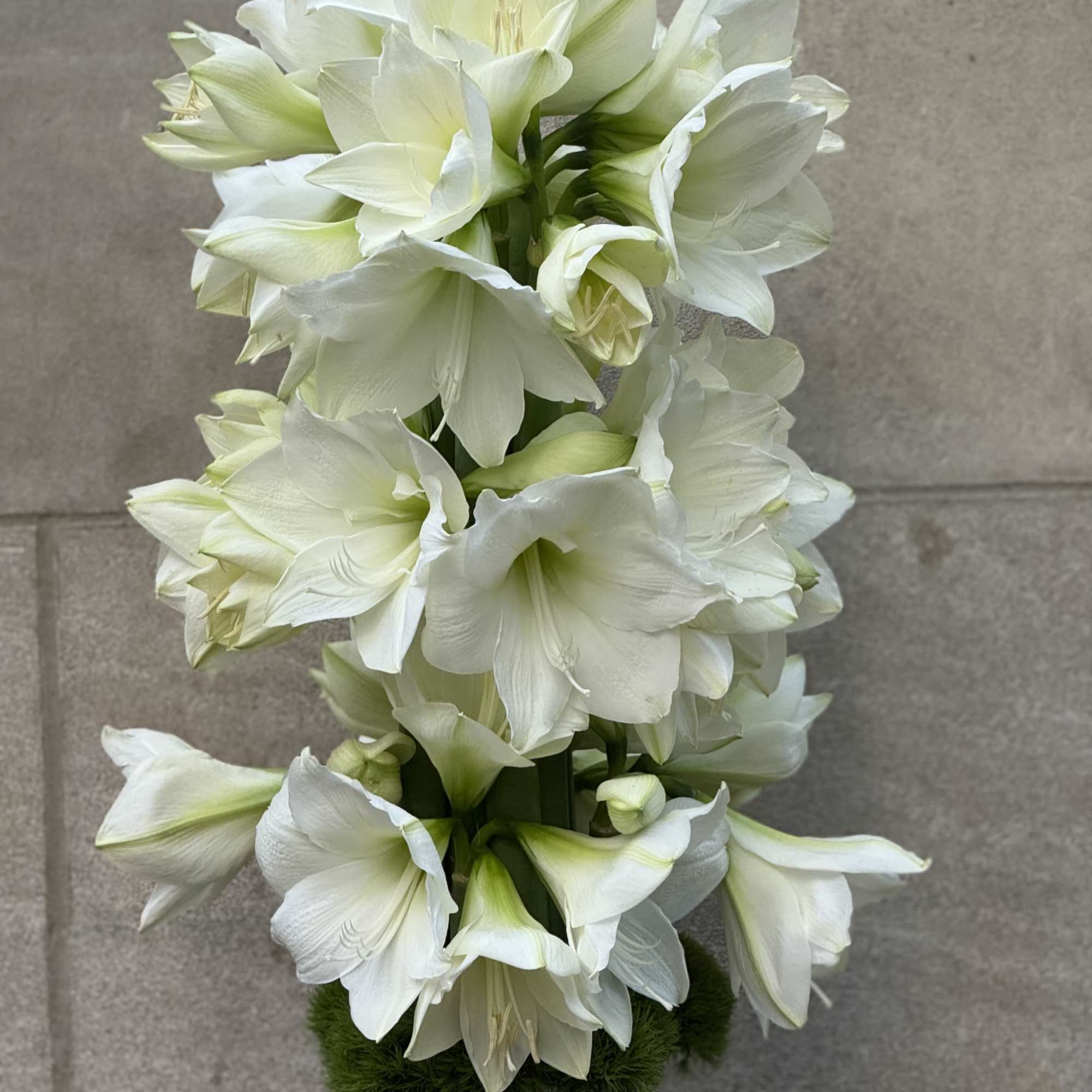 We are pleased to present a design concept for a tall and