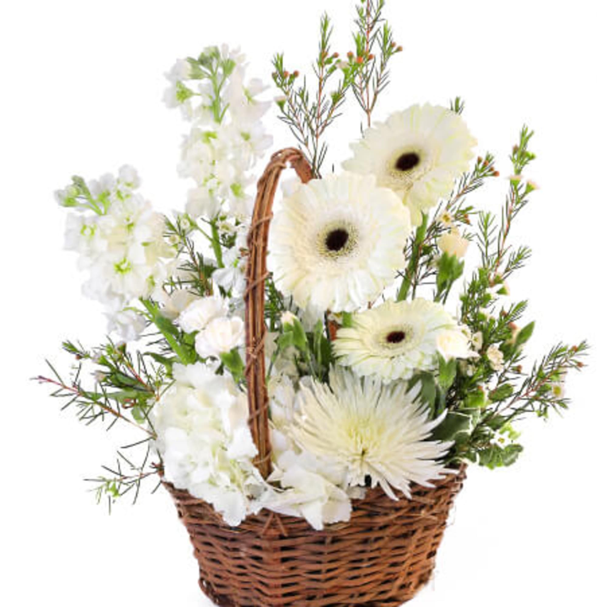 This beautiful sympathy arrangement is presented in a charming basket, offering a