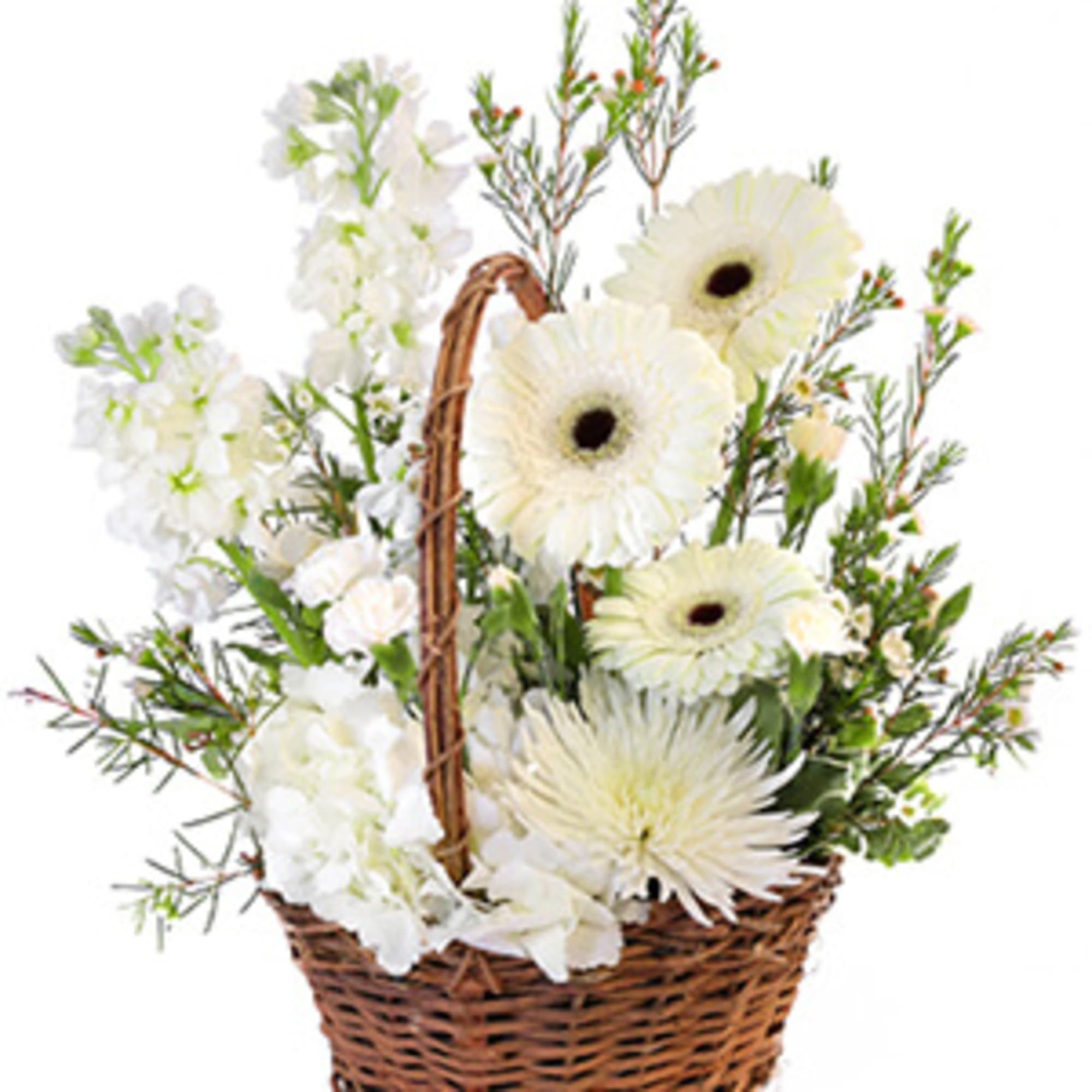 This beautiful sympathy arrangement is presented in a charming basket, offering a