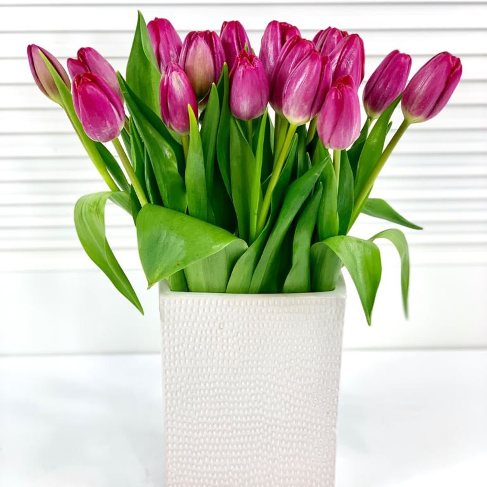 20 Fresh Pink Tulip in an elegant modern vase. 