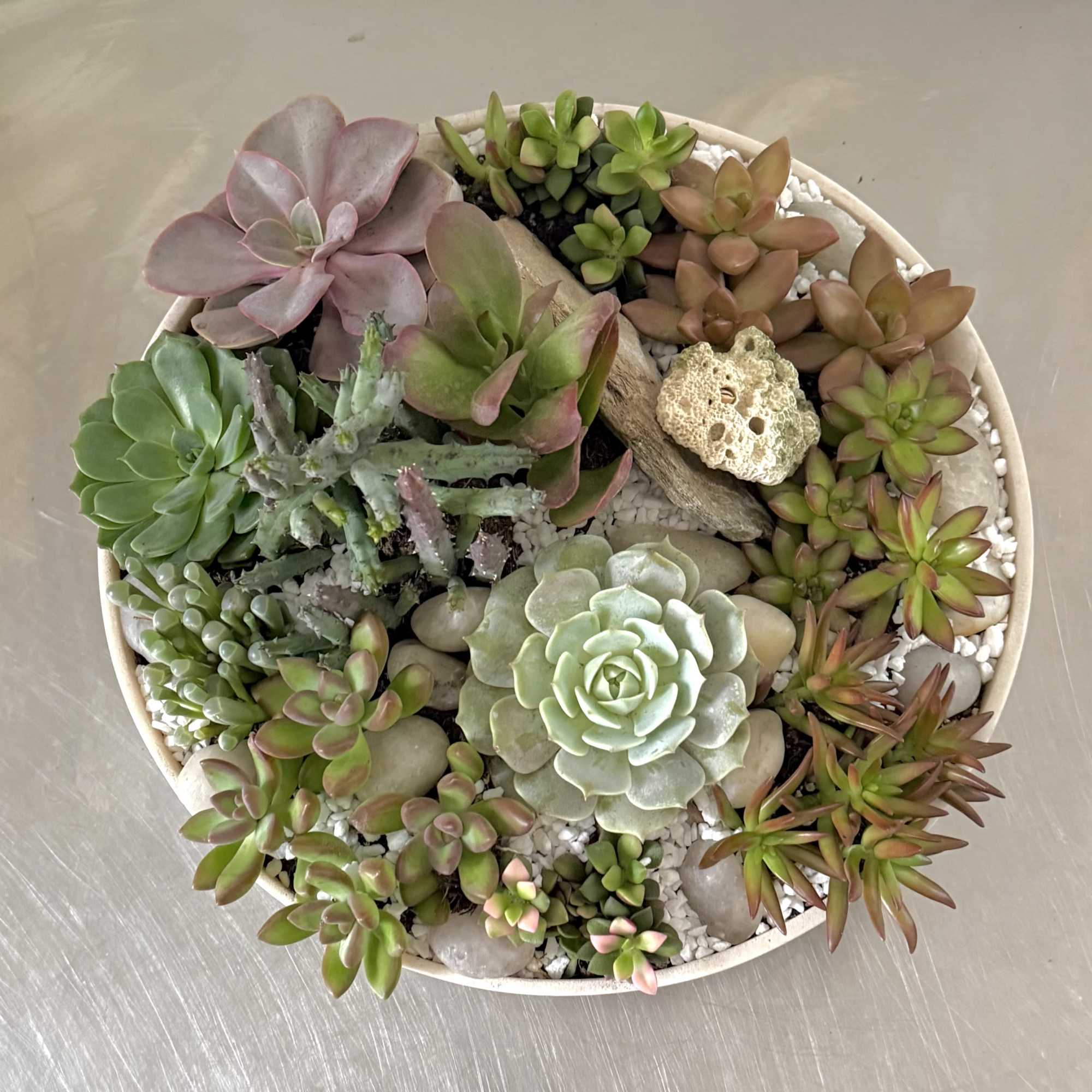 The large DC Urban Succulent Garden is a modern, low-maintenance centerpiece designed