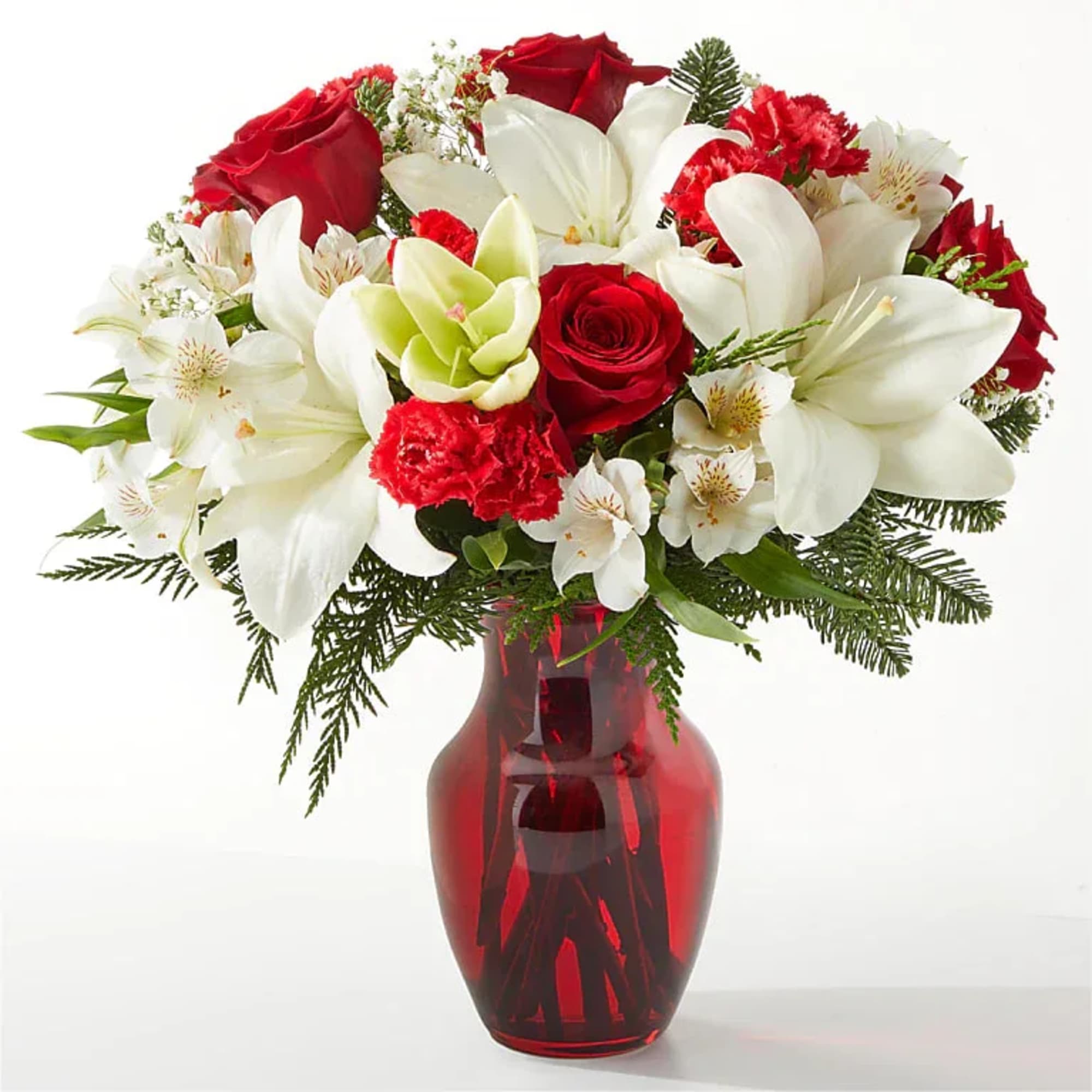 This ruby red stunner makes an excellent gift
to spread joy and cheer
