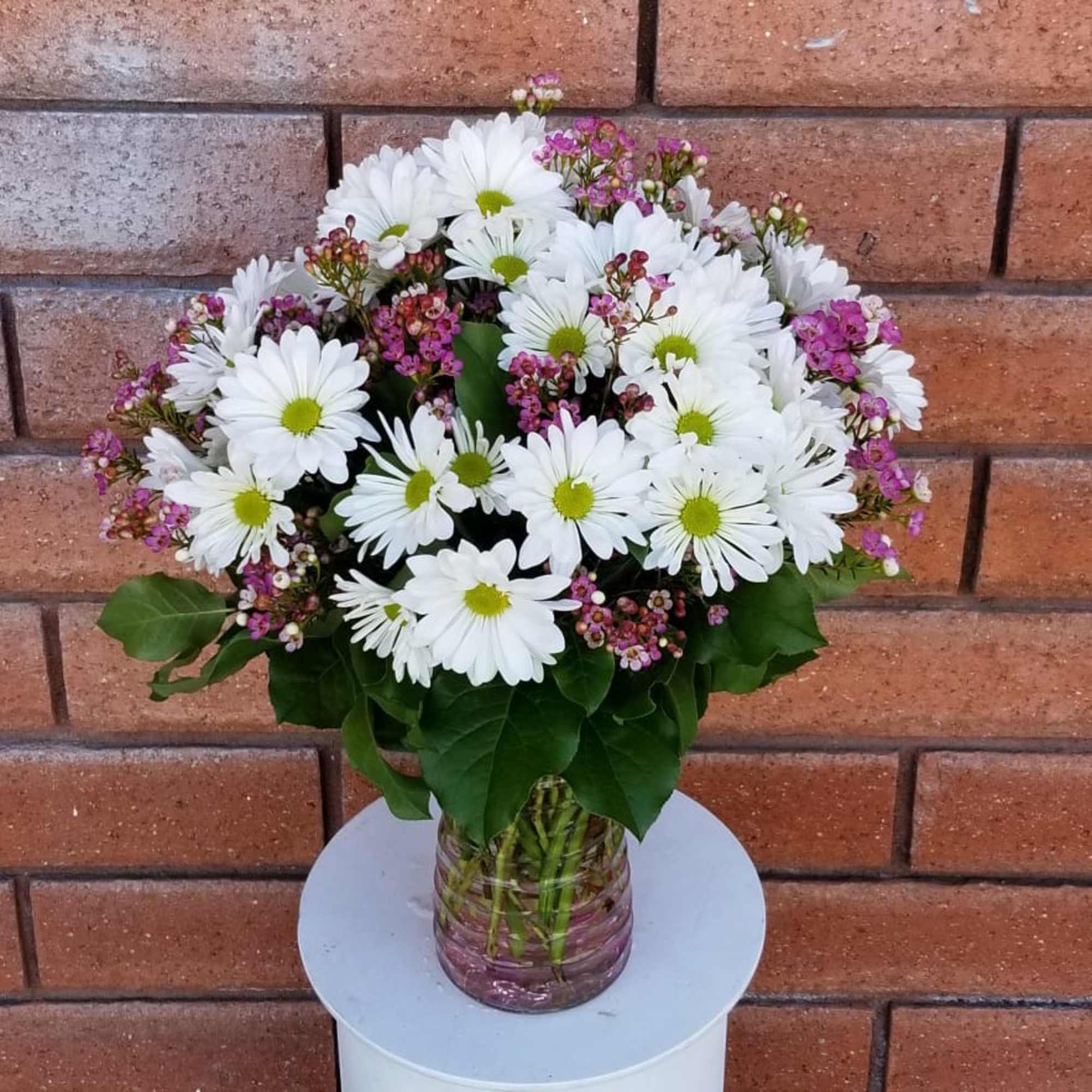 Send someone this generously full hand-arranged white daisy and pink wax flower