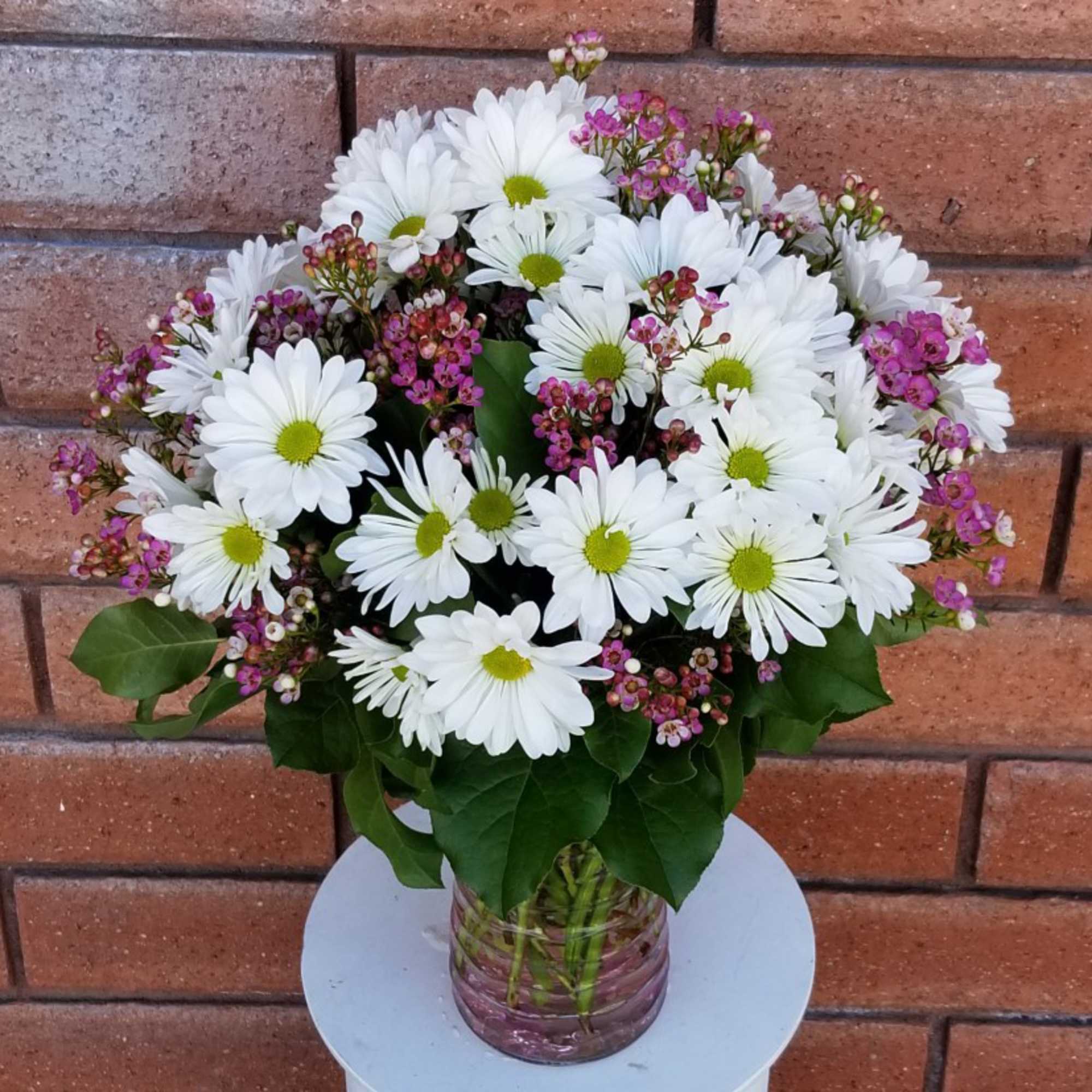 Send someone this generously full hand-arranged white daisy and pink wax flower