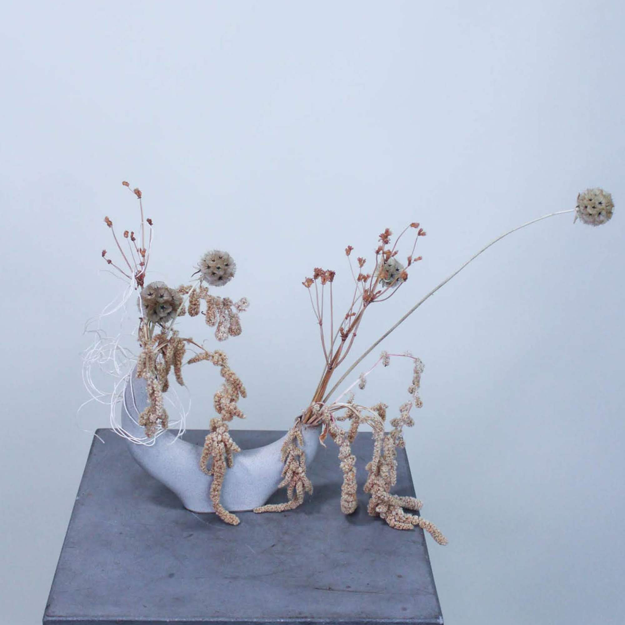 Dried botanical elements set in a unique ceramic vase. Perfect size to