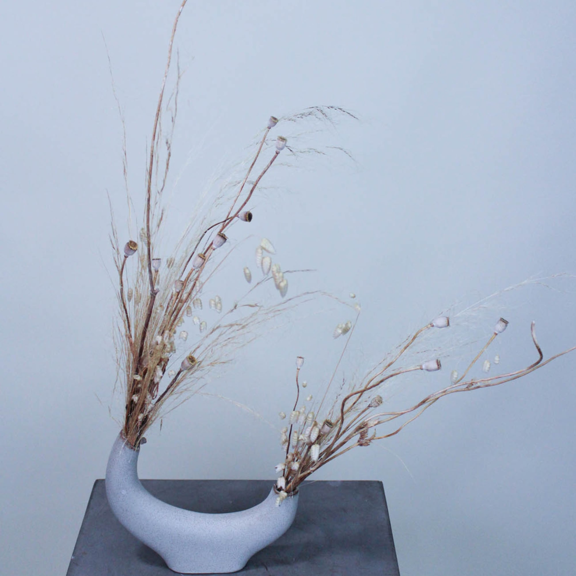 Dried botanical elements set in a unique ceramic vase. Perfect size to