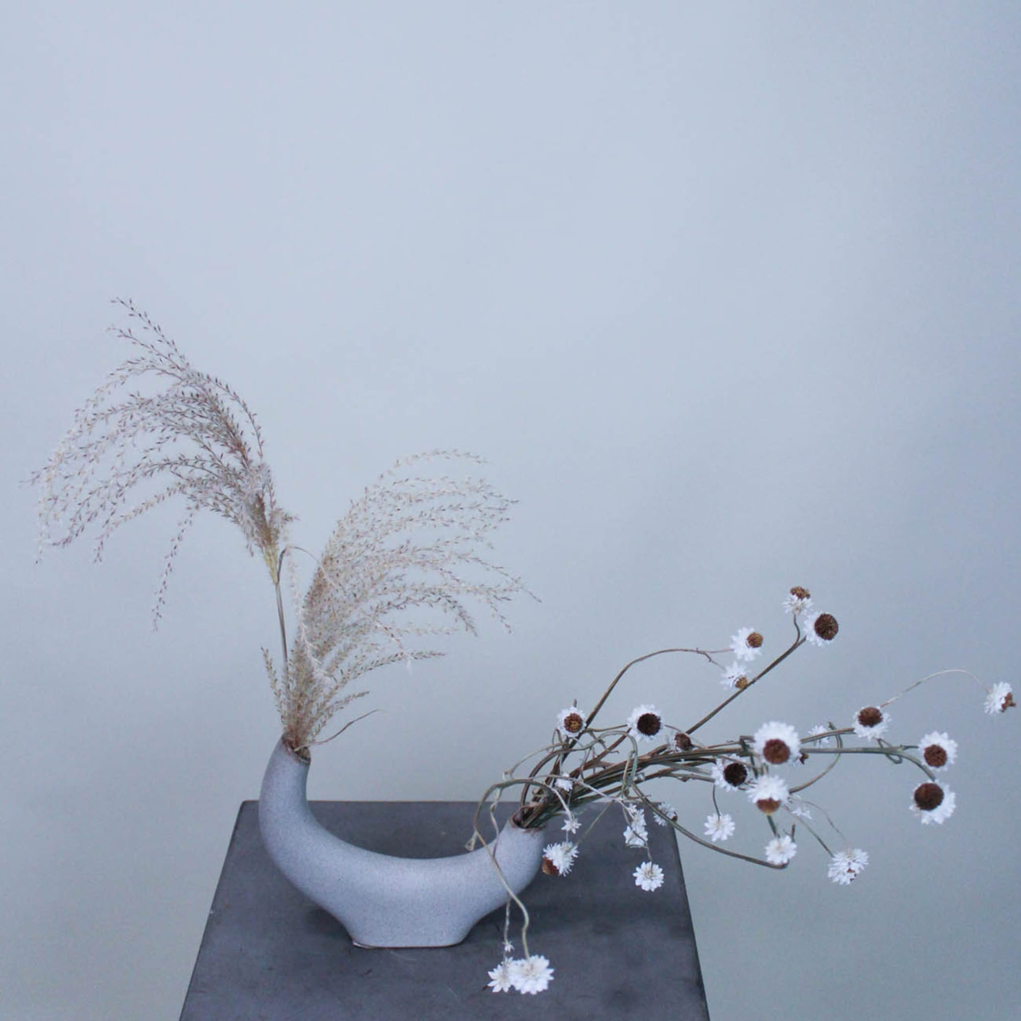 Dried botanical elements set in a unique ceramic vase. Perfect size to