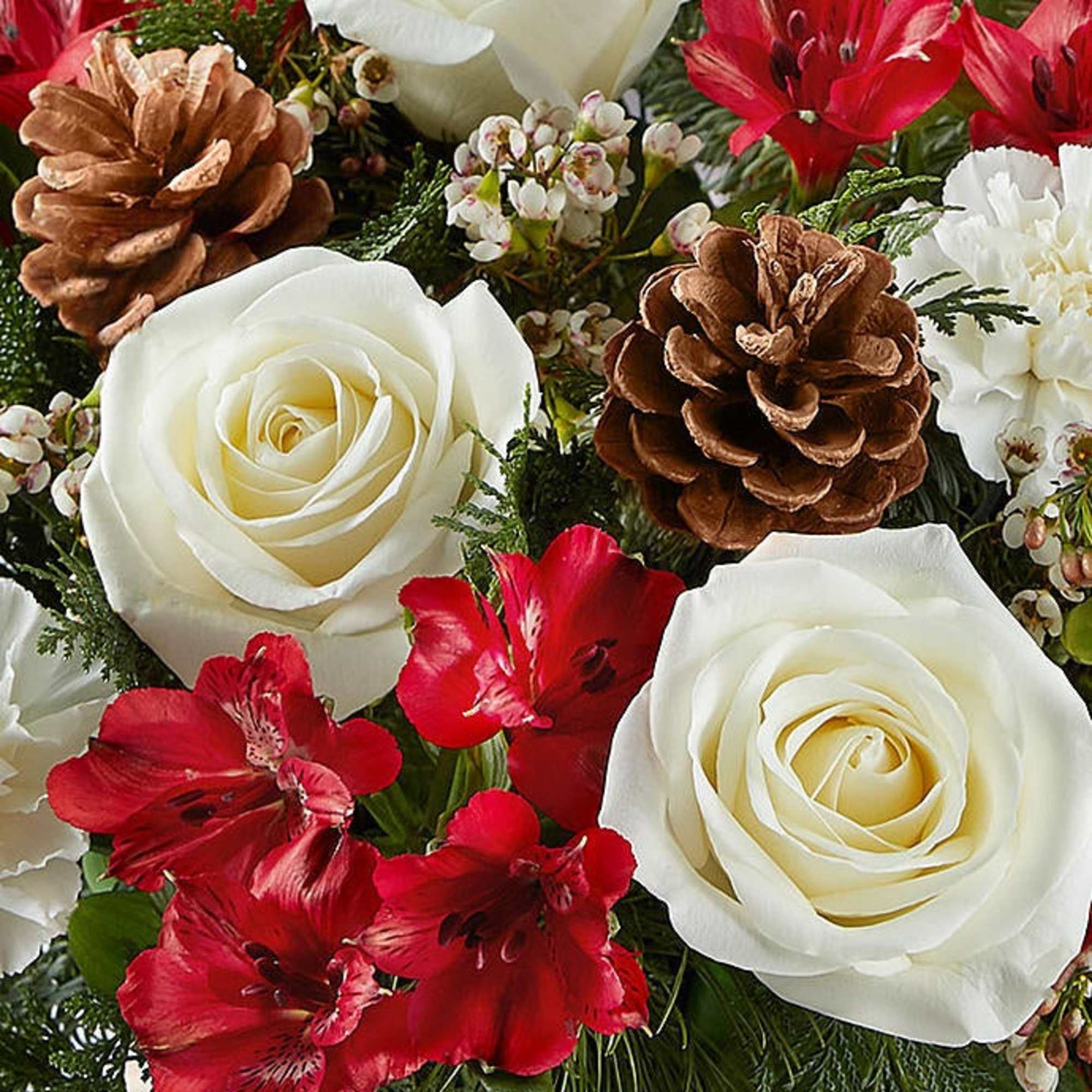  If they enjoy the spirit of this beautiful season, they will