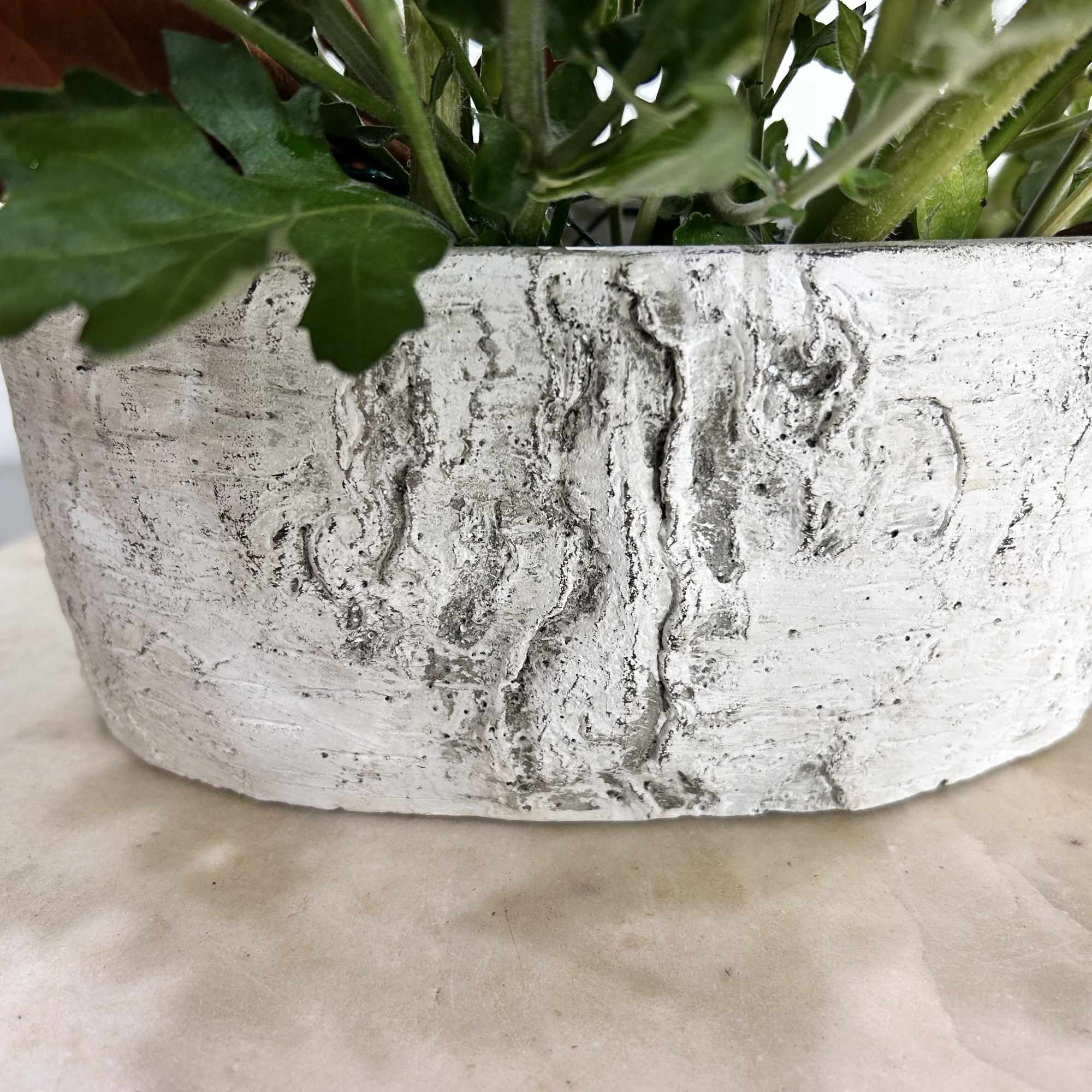 A beautiful birch oval vase with fresh seasonal flowers. Perfect holiday centerpiece.