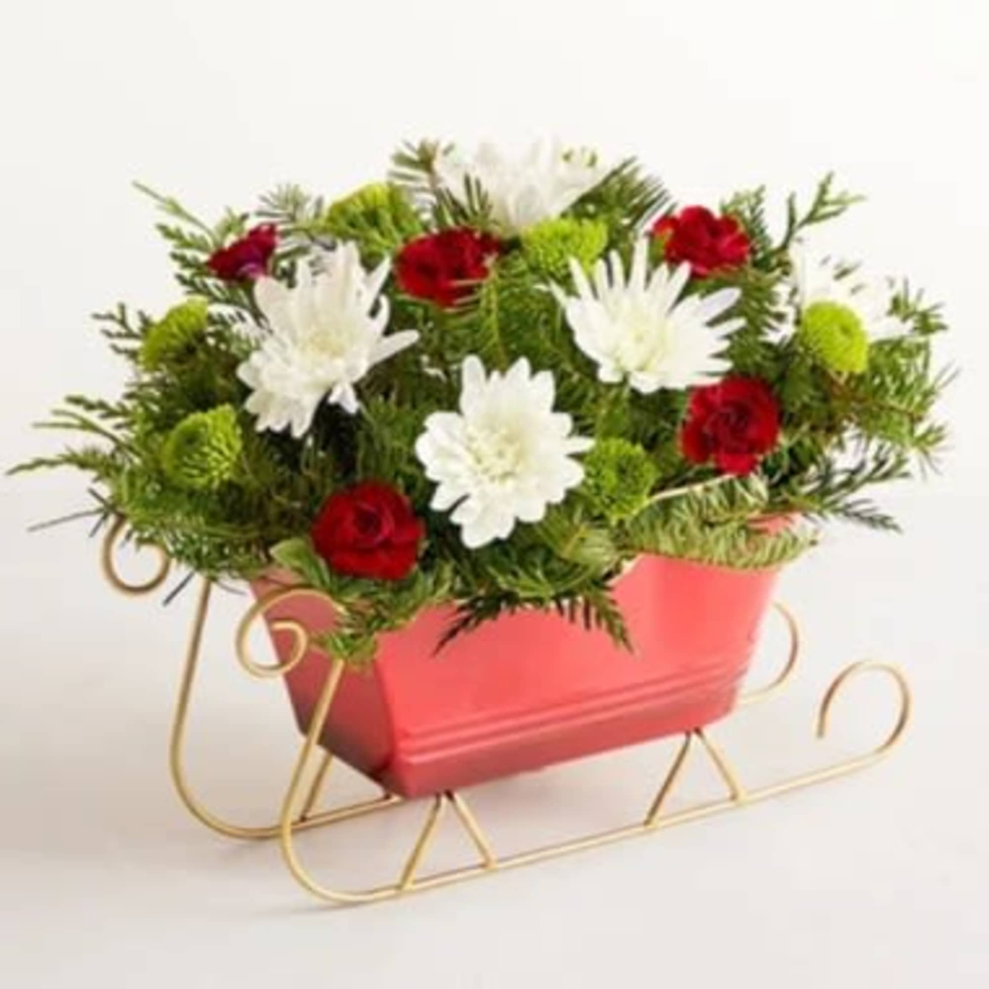 Send holiday joy their way! Our dashing arrangement features classic Christmas-colored blooms