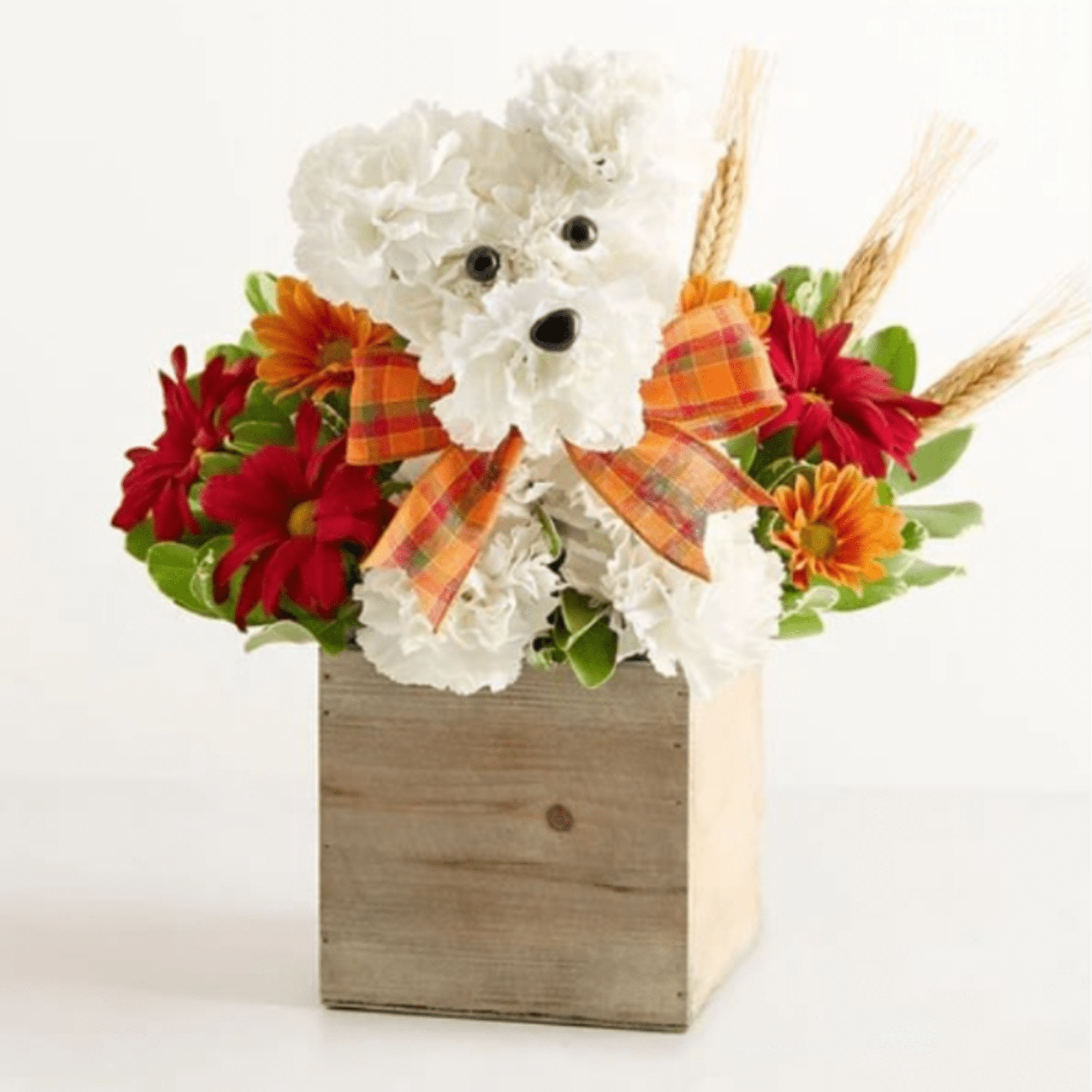 About a-DOG-able for Fall
EXCLUSIVE Our whimsical autumn arrangement is doggone adorable! Popping
