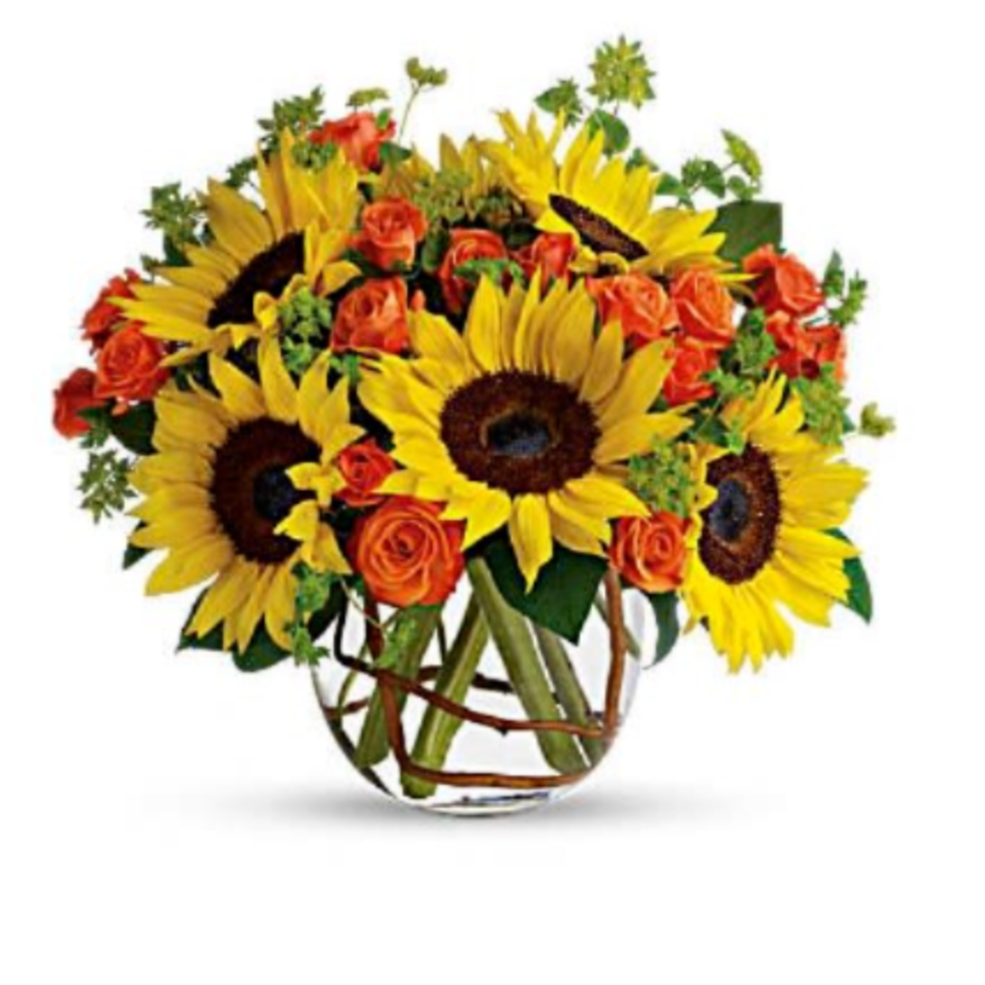 Brighten up a table, send get well wishes, or simply sprinkle sunshine