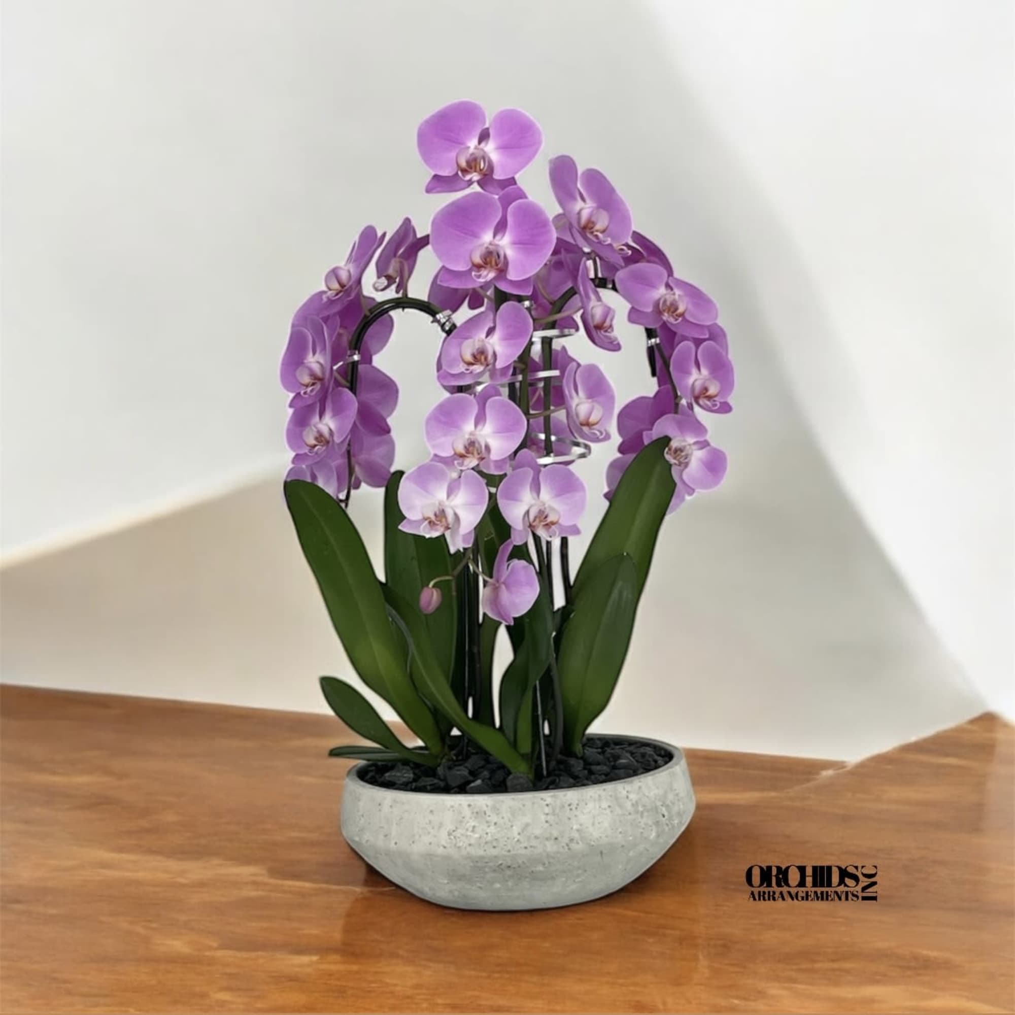 A high quality Six pink orchid arrangement with a vase 16.5&quot; D