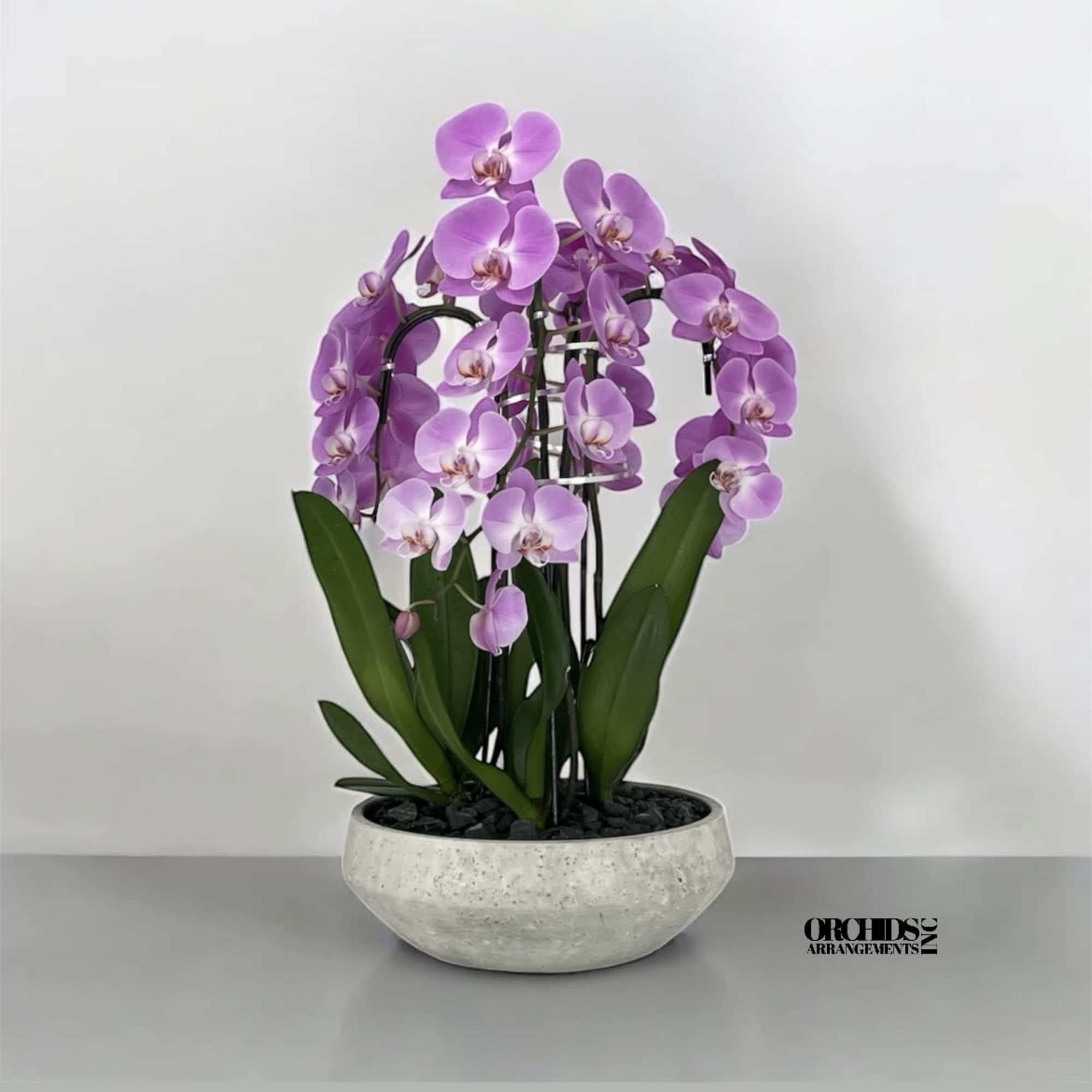 A high quality Six pink orchid arrangement with a vase 16.5&quot; D