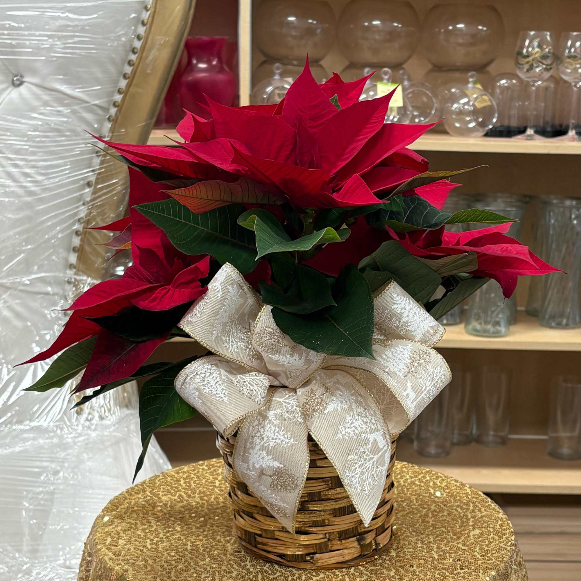 Start gifting now and enjoy this beautiful season with our festive poinsettias.
The