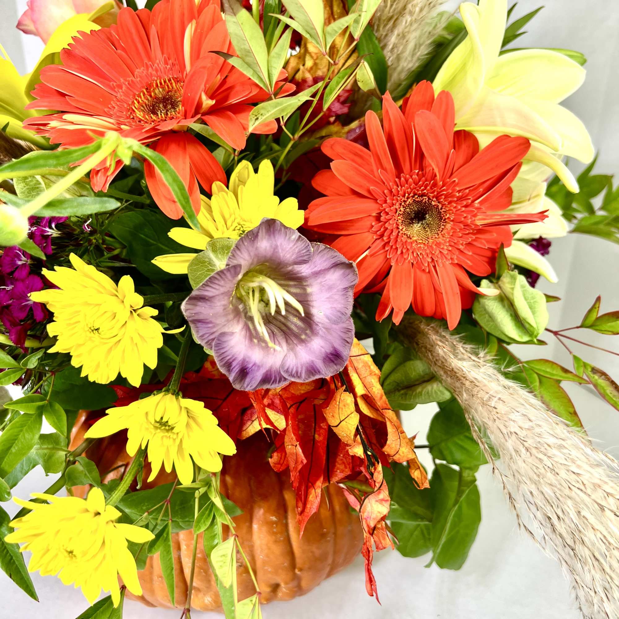 Perfect for any Thanksgiving celebration at the home or office.  This